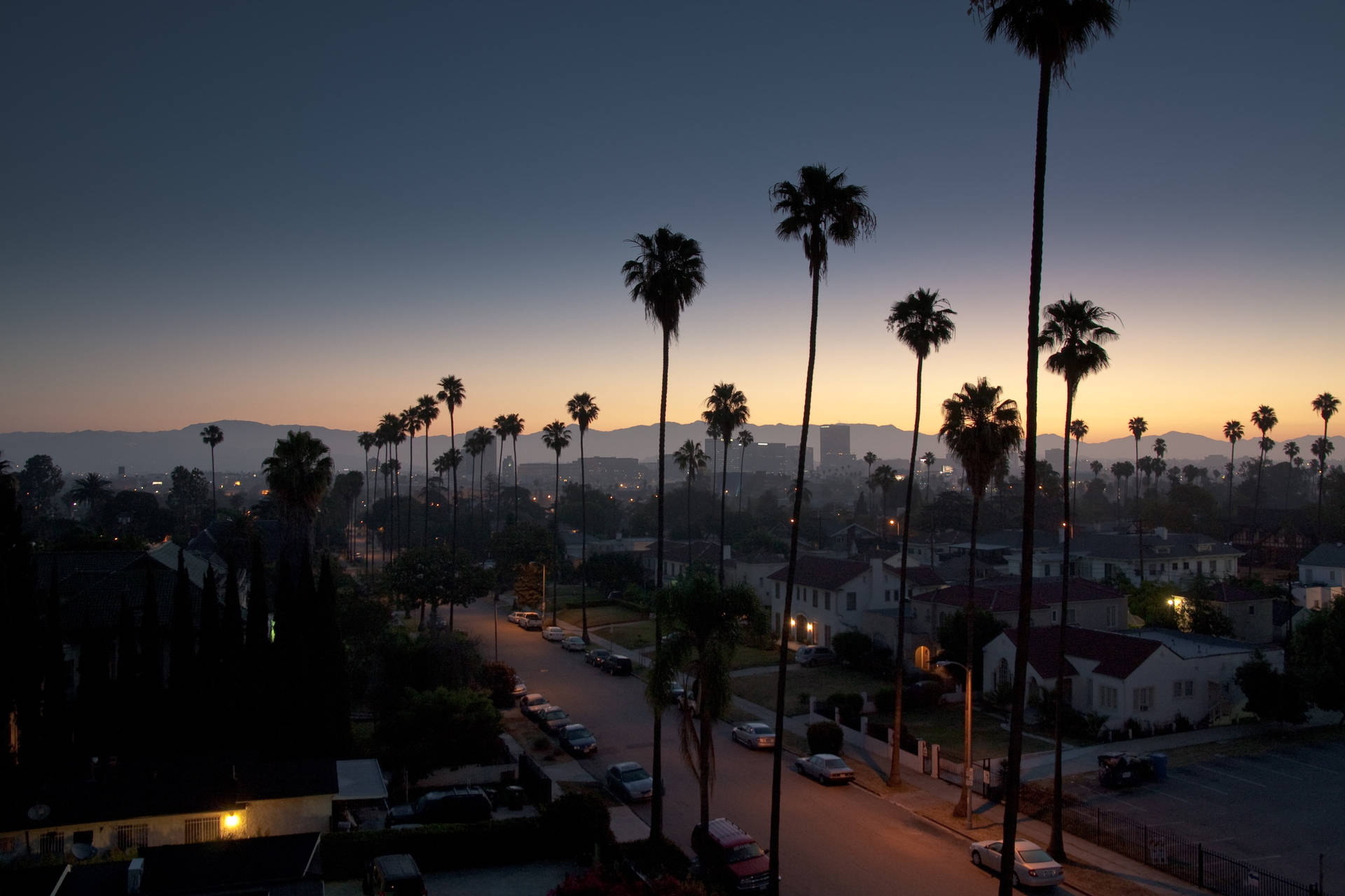 Palm Tree Sunset Los Angeles Background