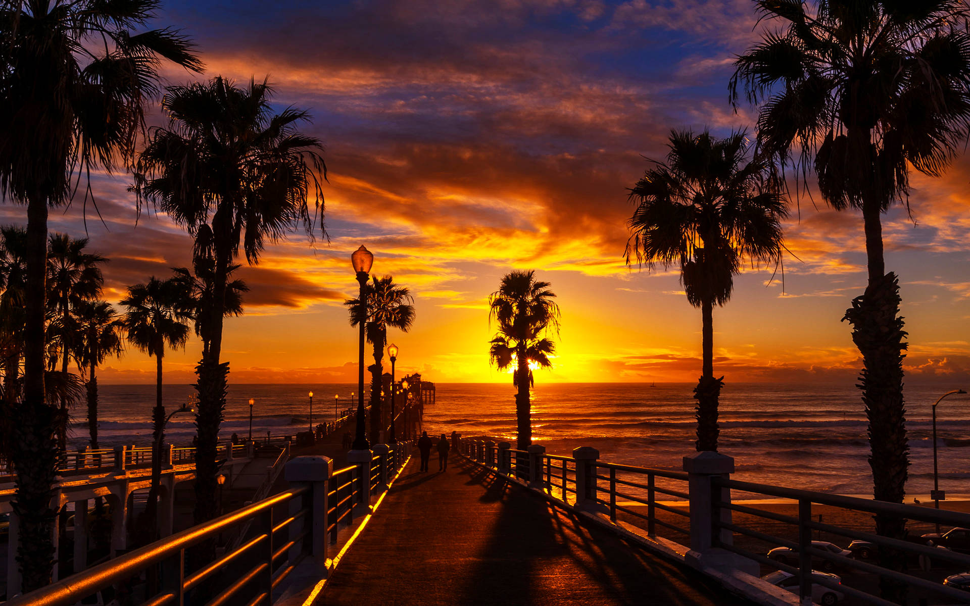 Palm Tree Sunset North County Background