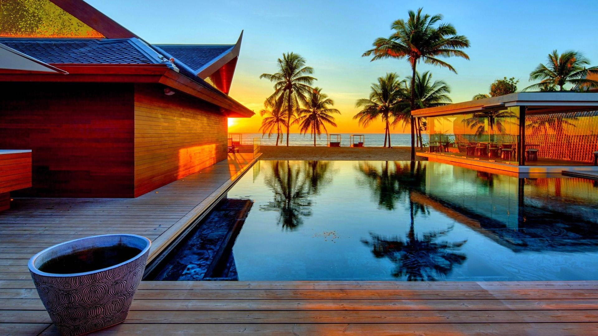 Palm Tree Sunset Pool House Background