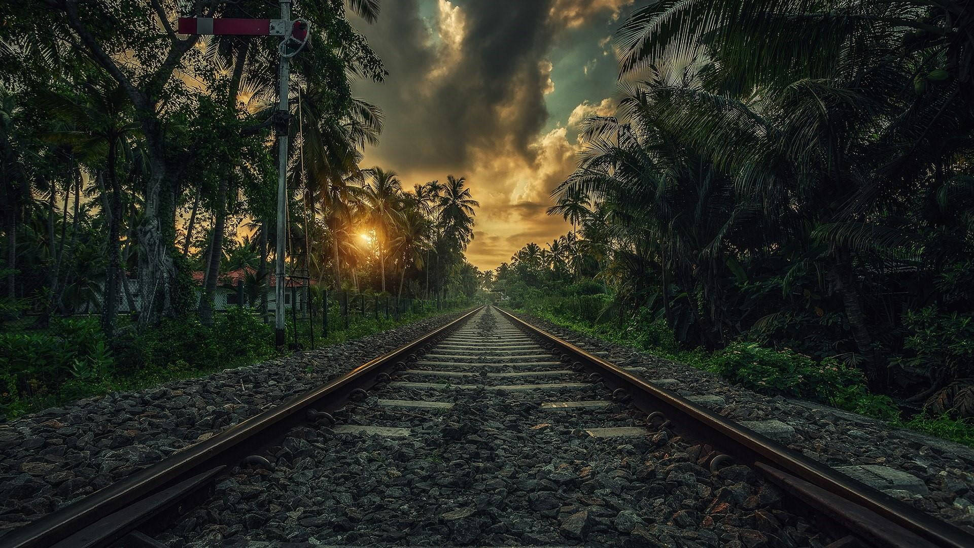 Palm Tree Sunset Railroad Track