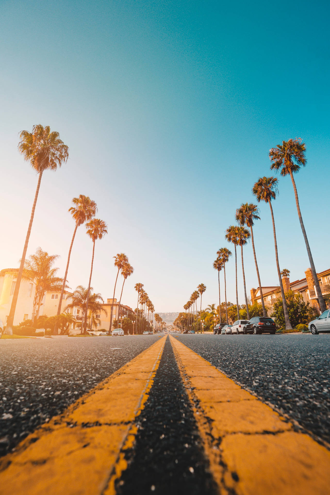 Palm Tree Sunset Road Background