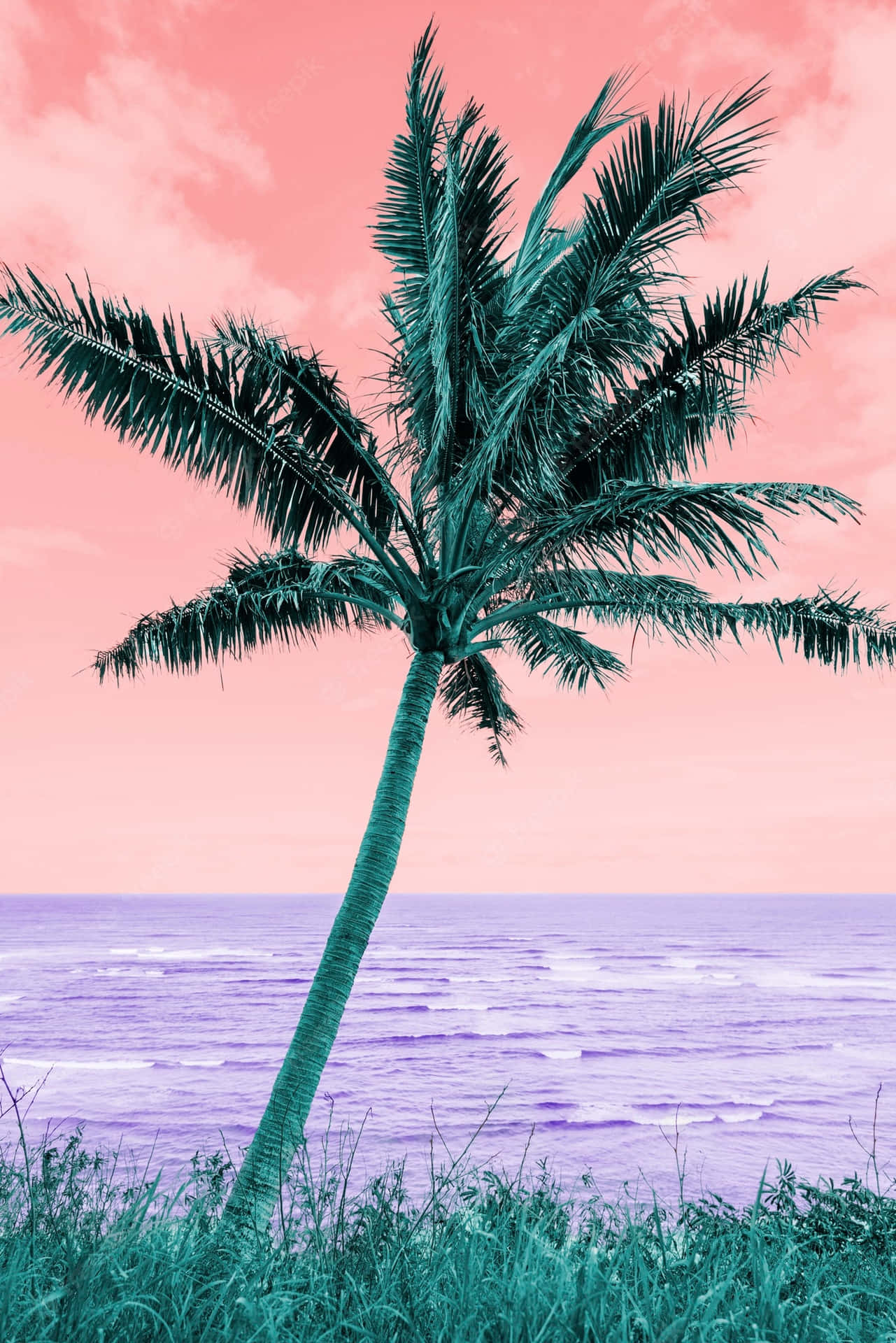 Palm Trees Beach Retro Landscape Vaporwave Background