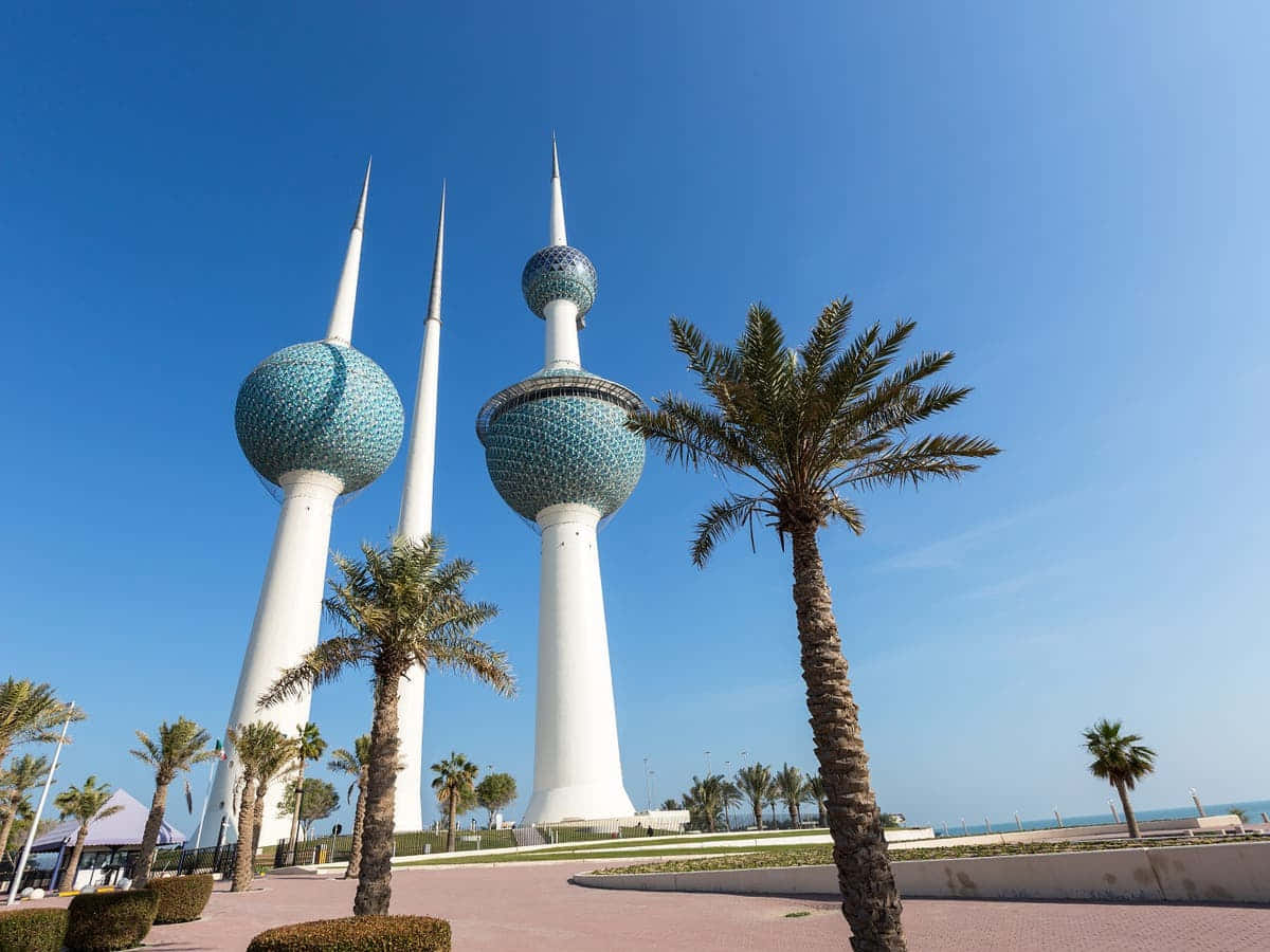 Palm Trees Below Kuwait Towers Background
