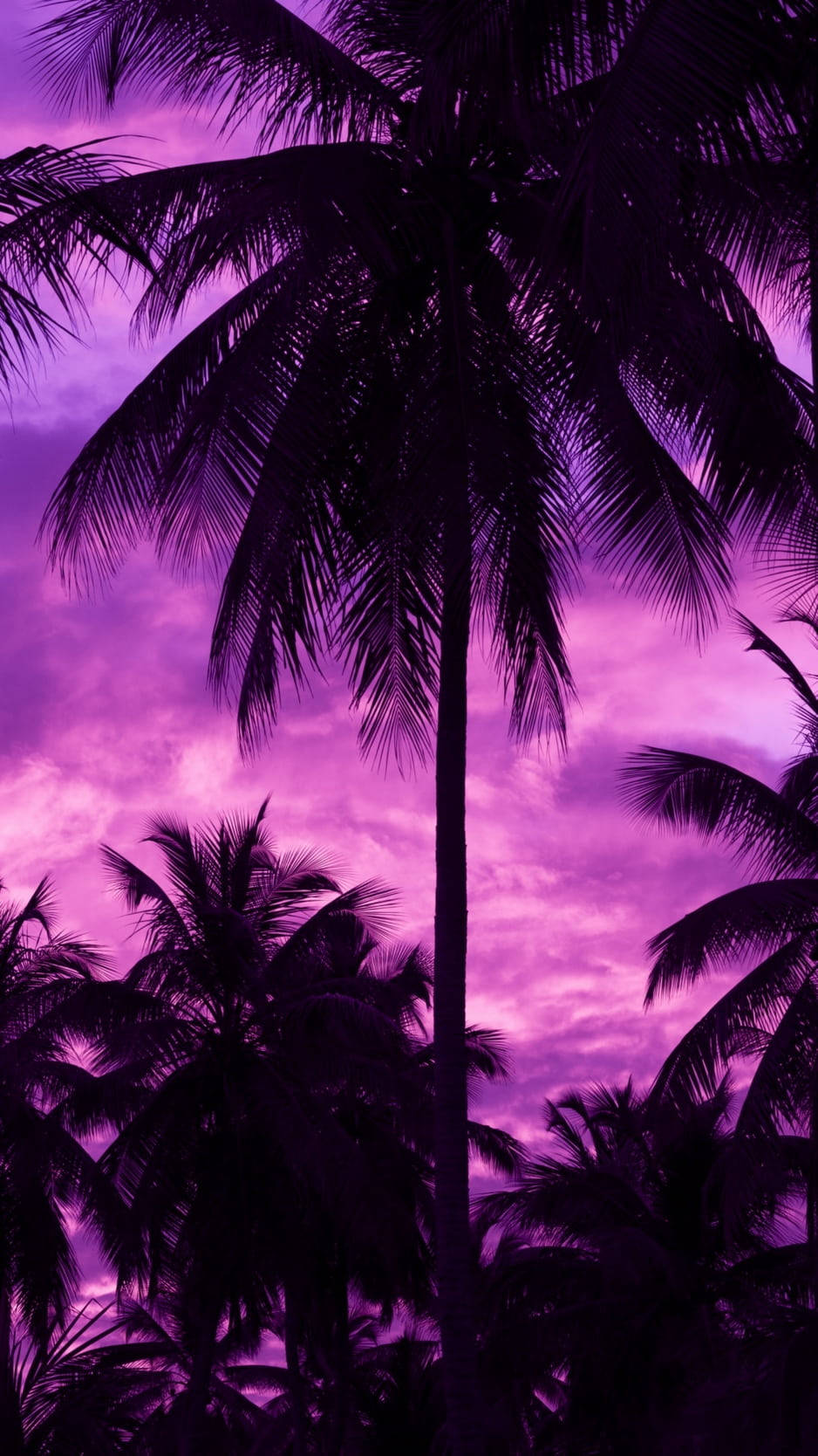 Palm Trees Dark Purple Iphone Background