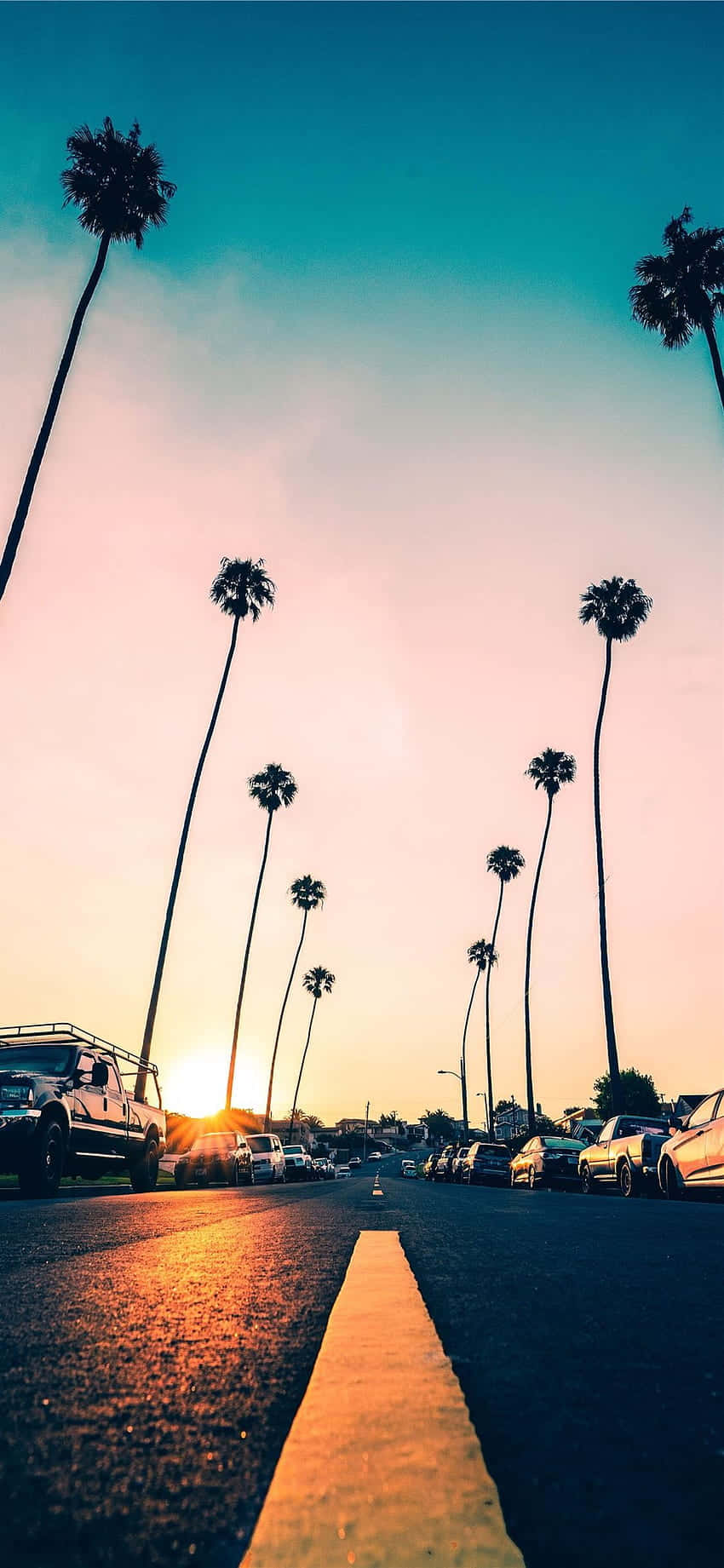 Palm Trees In The Road At Sunset Background