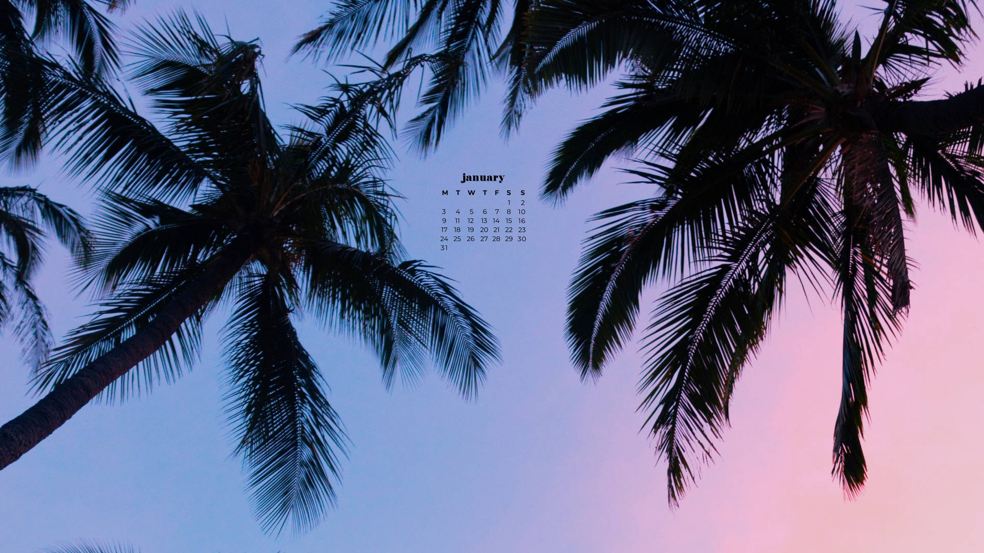 Palm Trees January 2022 Calendar