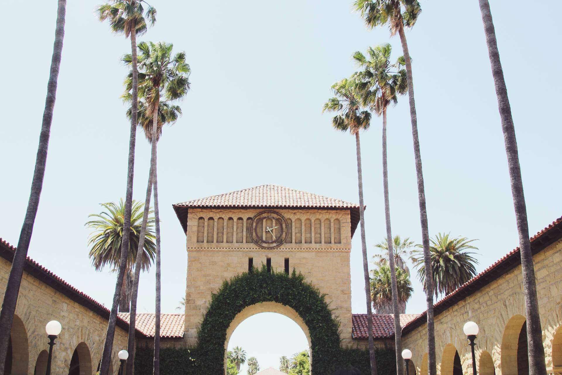 Palm Trees Lined-up Along Stanford University