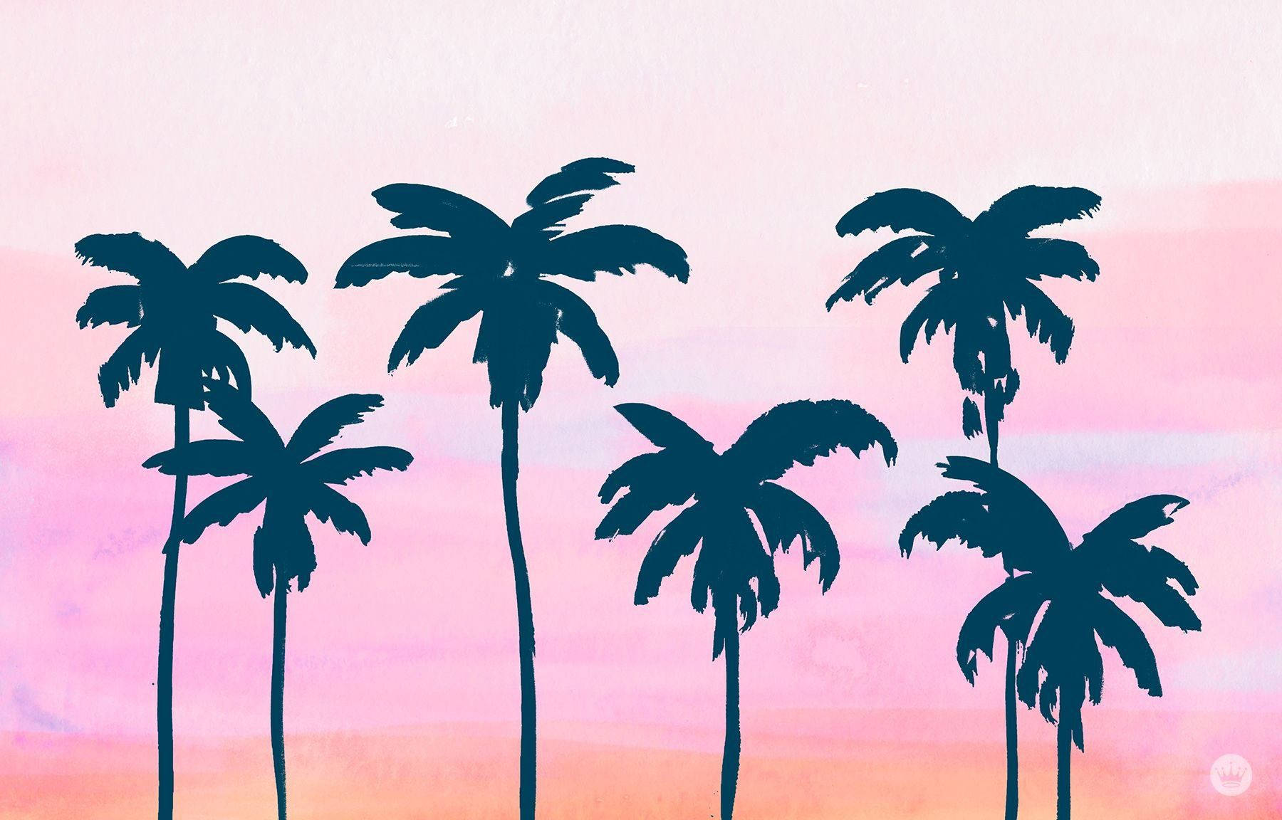 Palm Trees On A Pink And Purple Background Background