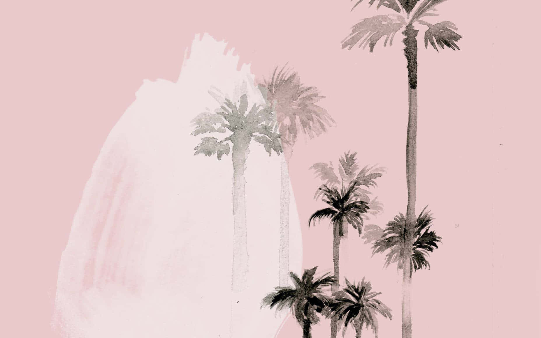 Palm Trees On A Pink Background Background