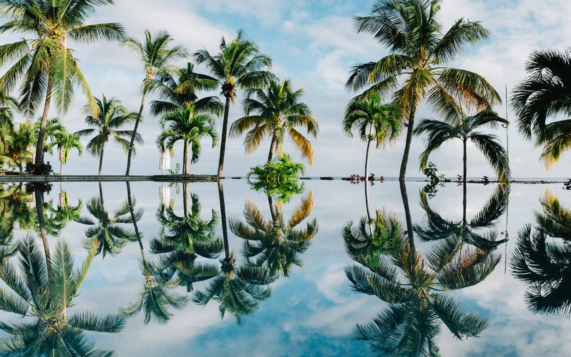 Palm Trees Reflecting On Water Tropical Desktop Background