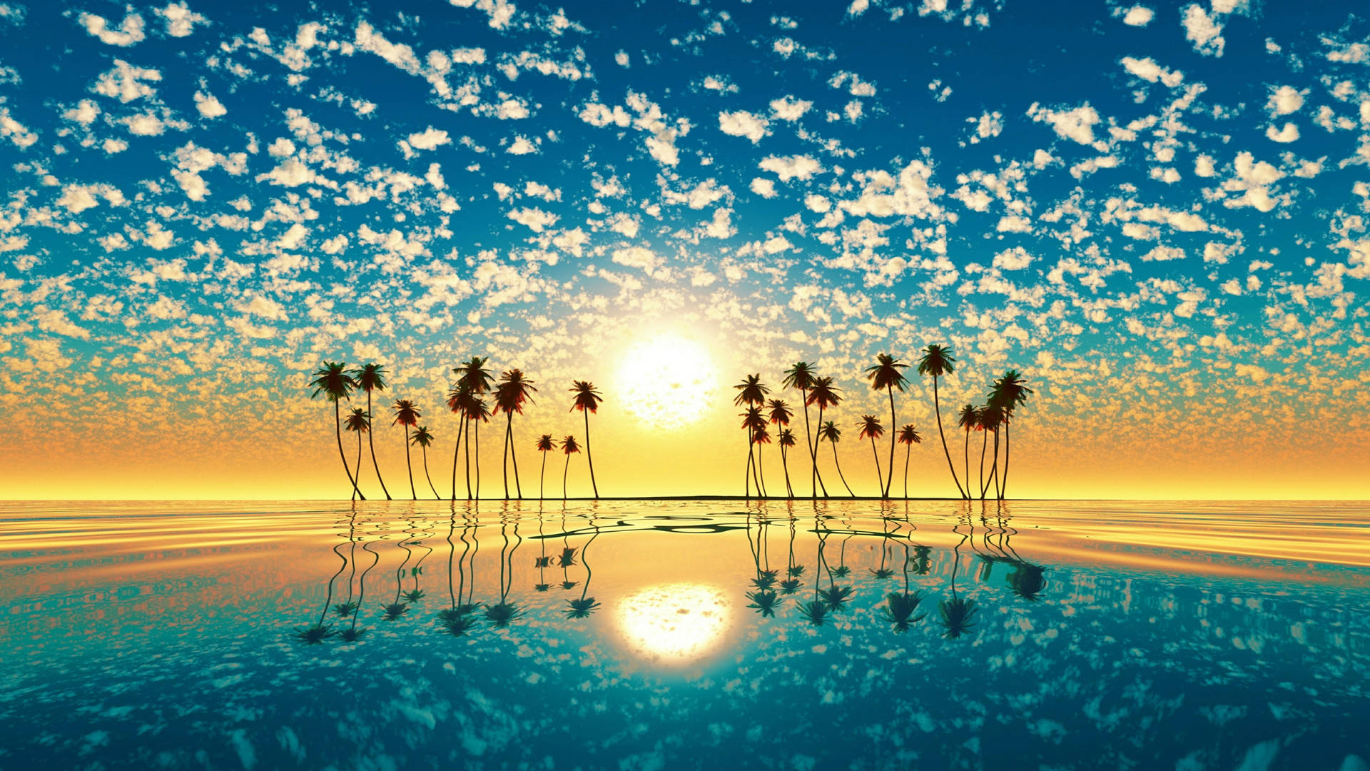 Palm Trees Reflection Full 4k Background