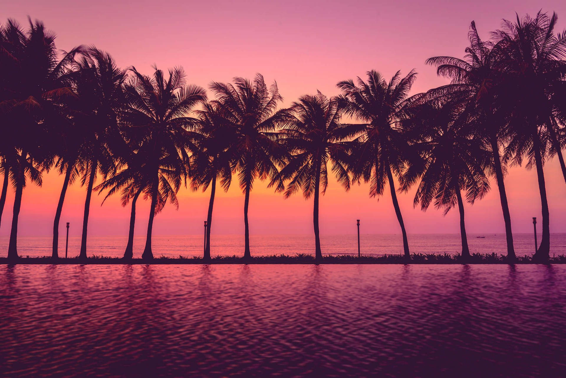 Palm Trees Sunset Aesthetic Background