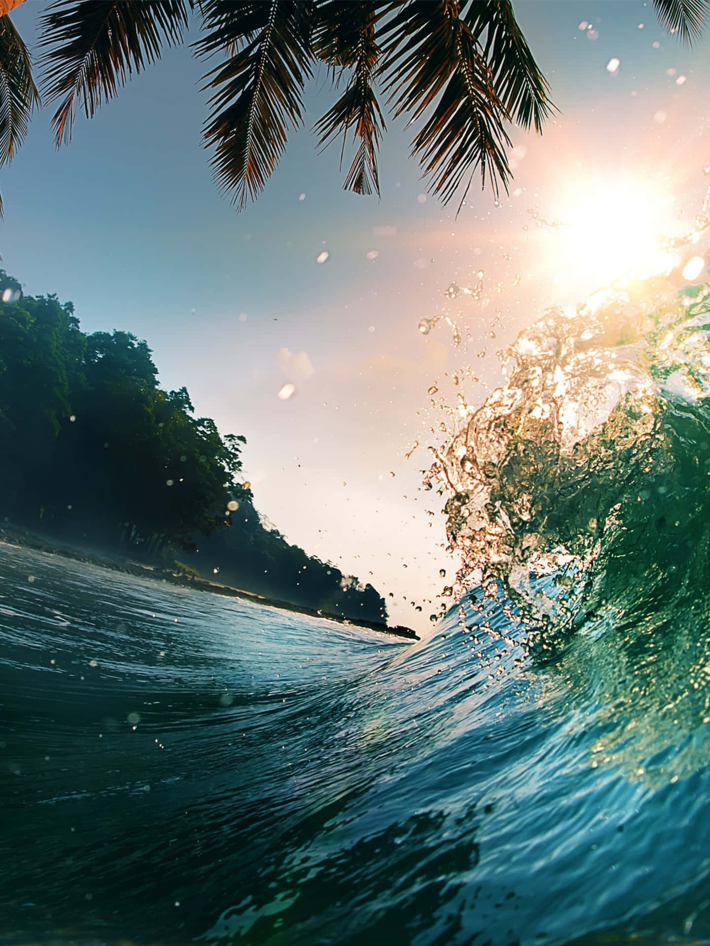 Palm Trees Tropical Summer Beach Sea Waves