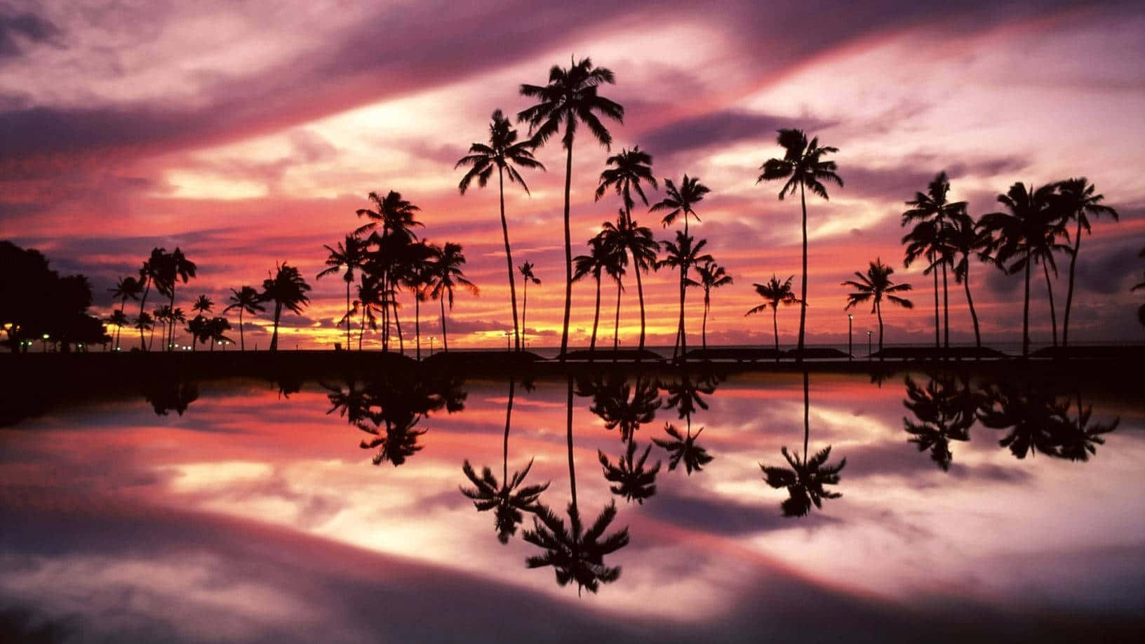 Palm Tress Sunset Aesthetic Hawaii Background