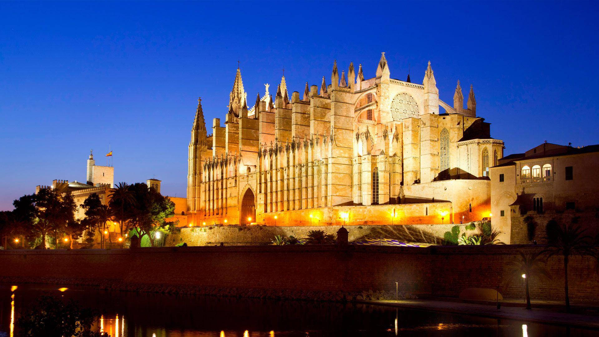 Palma Cathedral Church Background