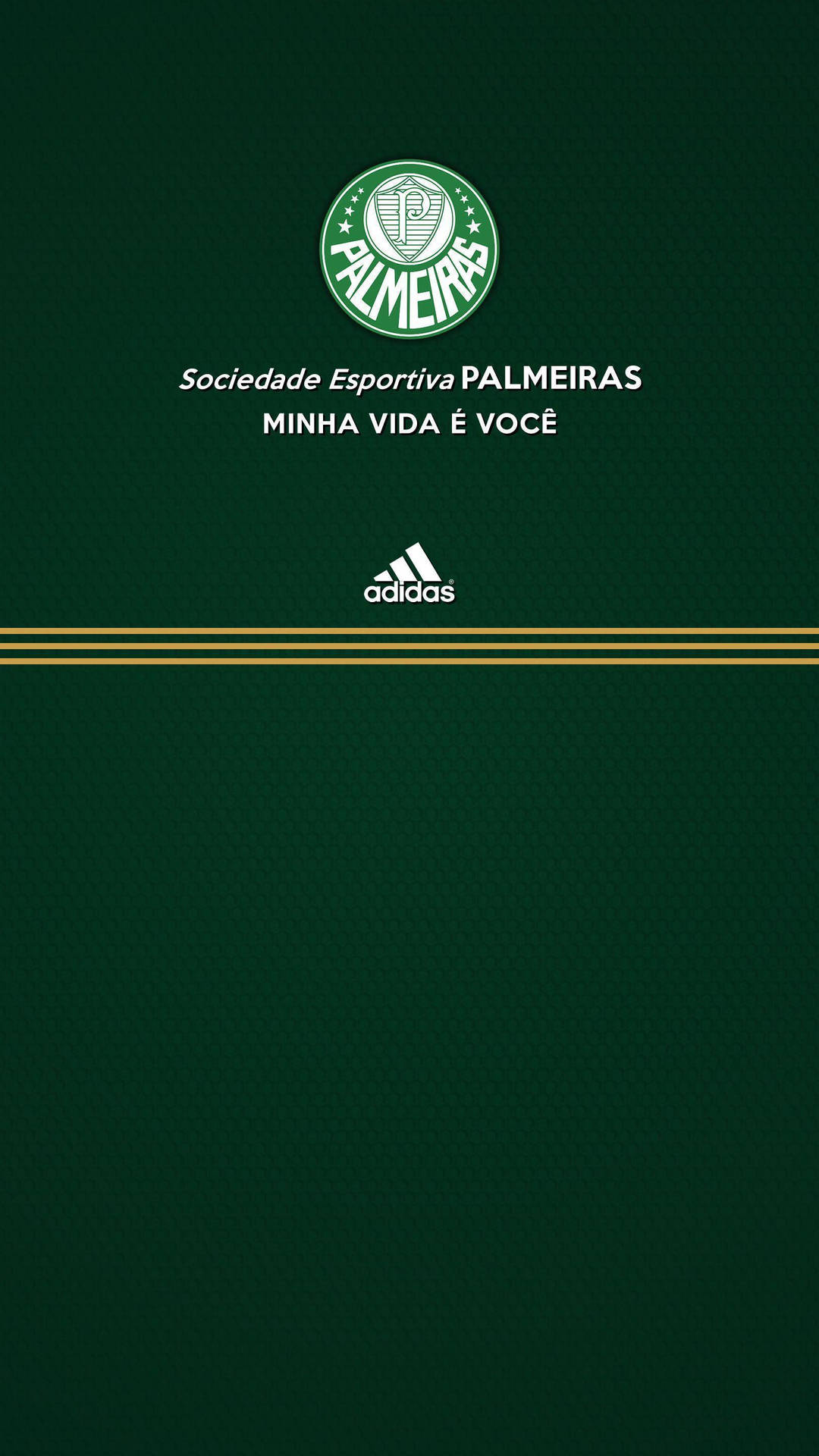 Palmeiras And Adidas Background