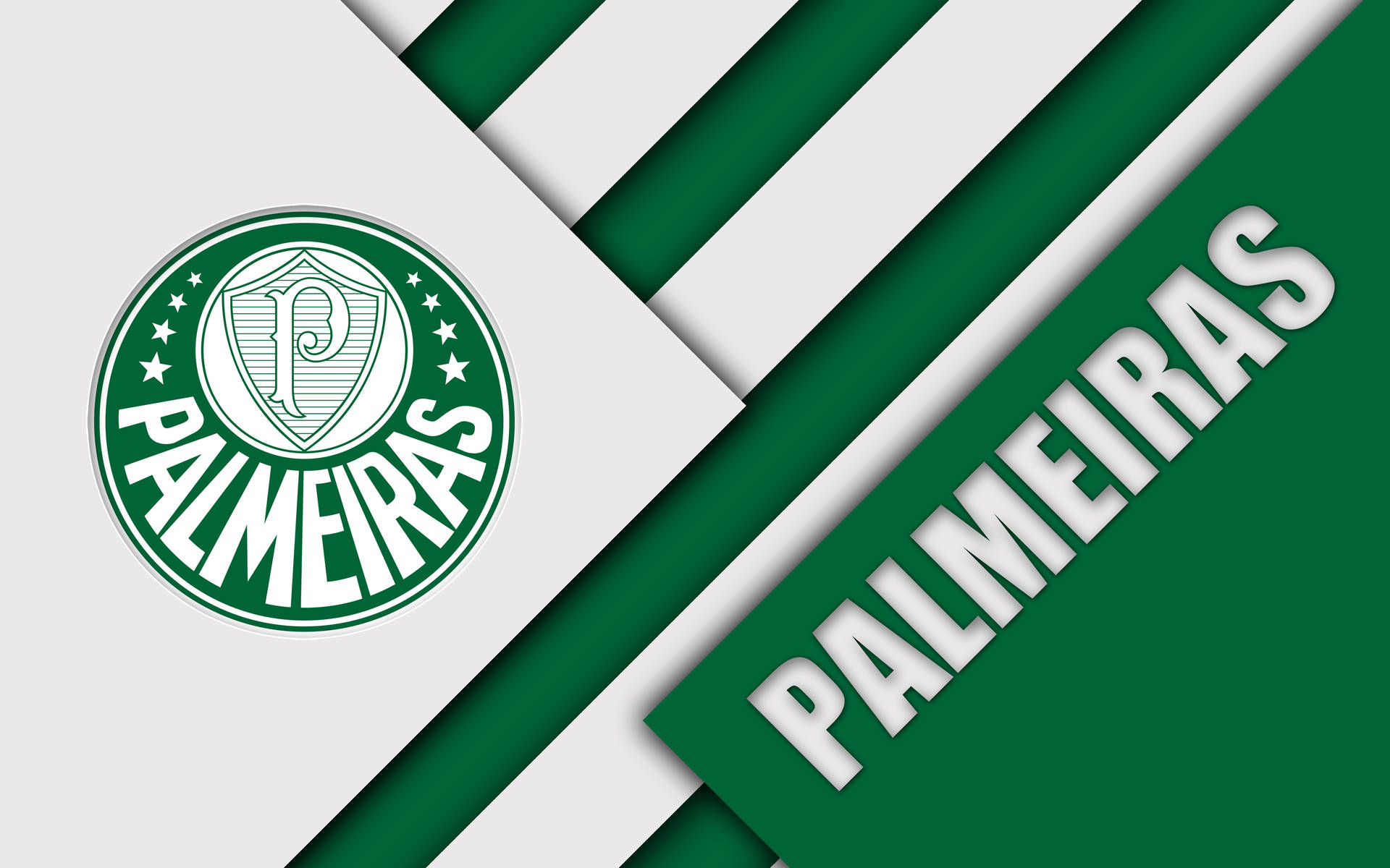 Palmeiras Diagonal Lines Background