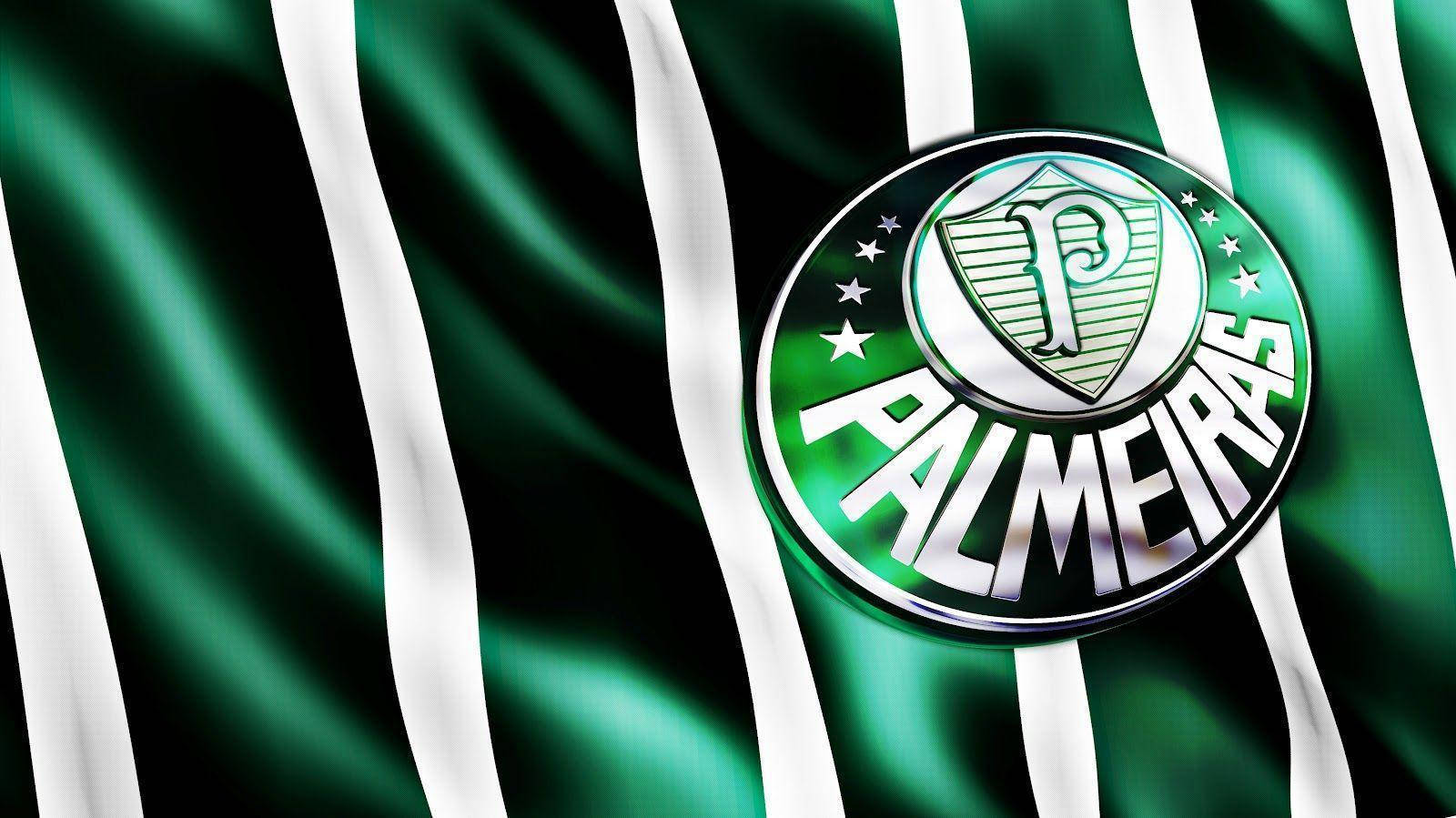 Palmeiras Glossy Flag