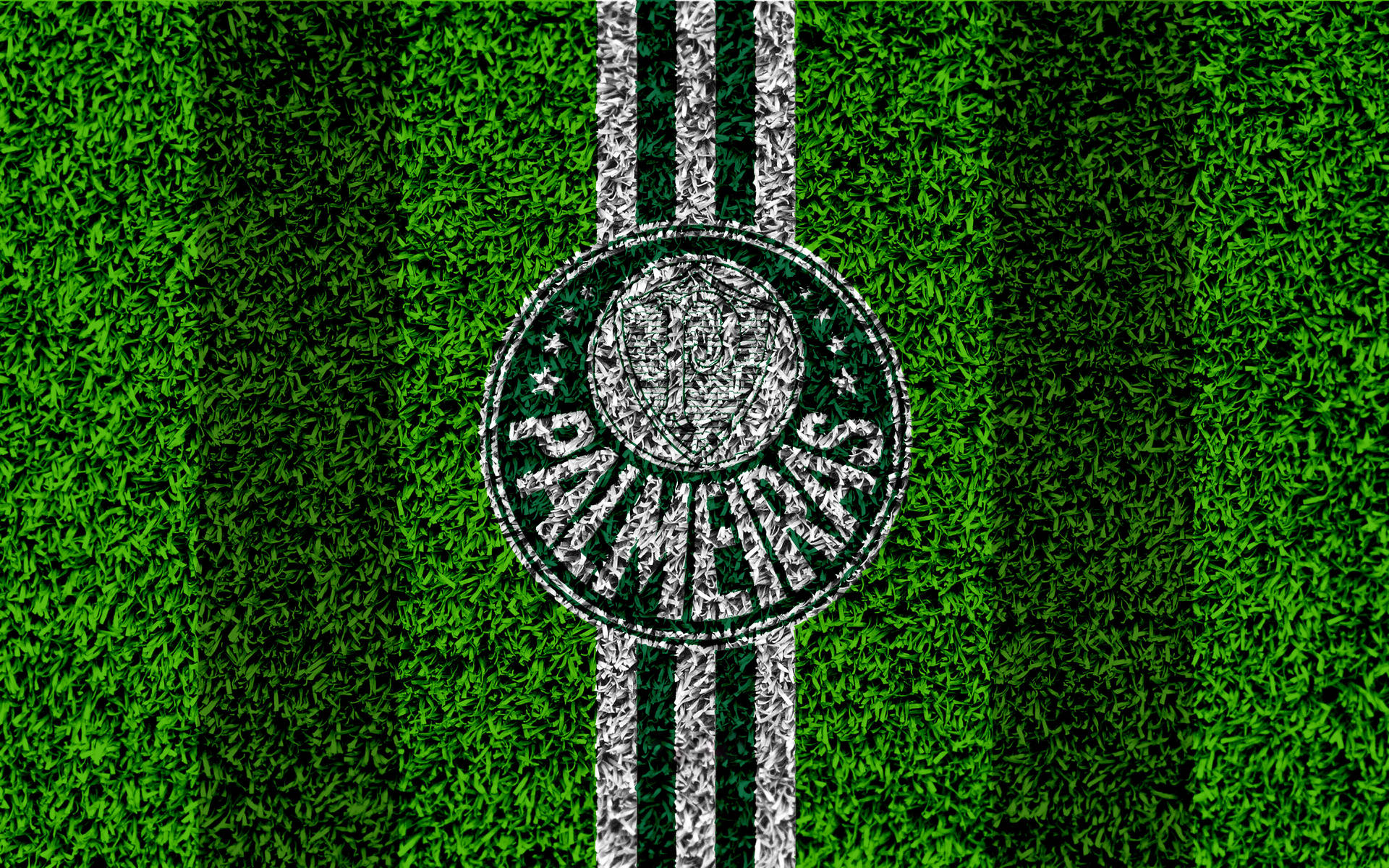 Palmeiras Grass Background