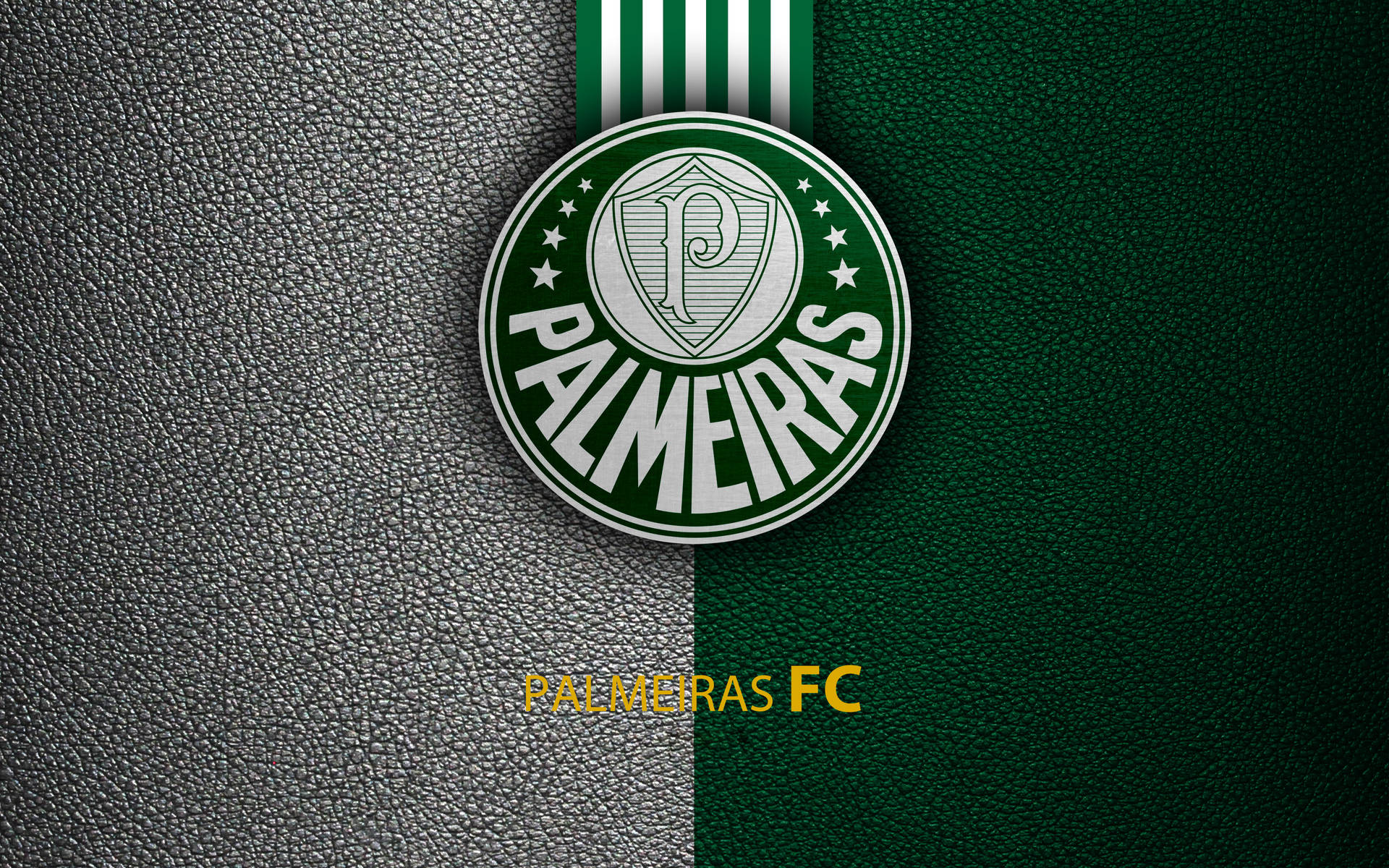 Palmeiras Leather Background