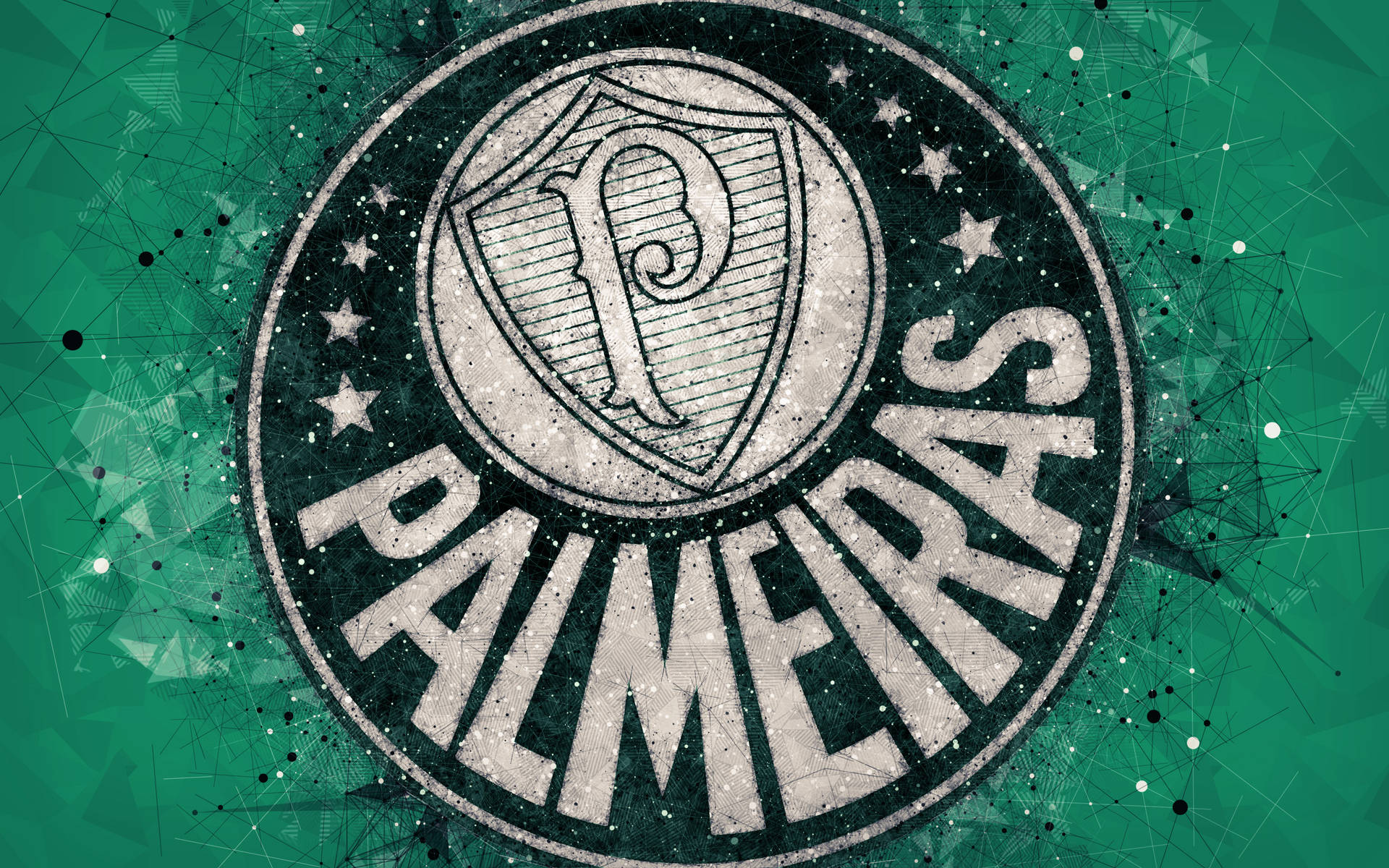 Palmeiras Lines Background