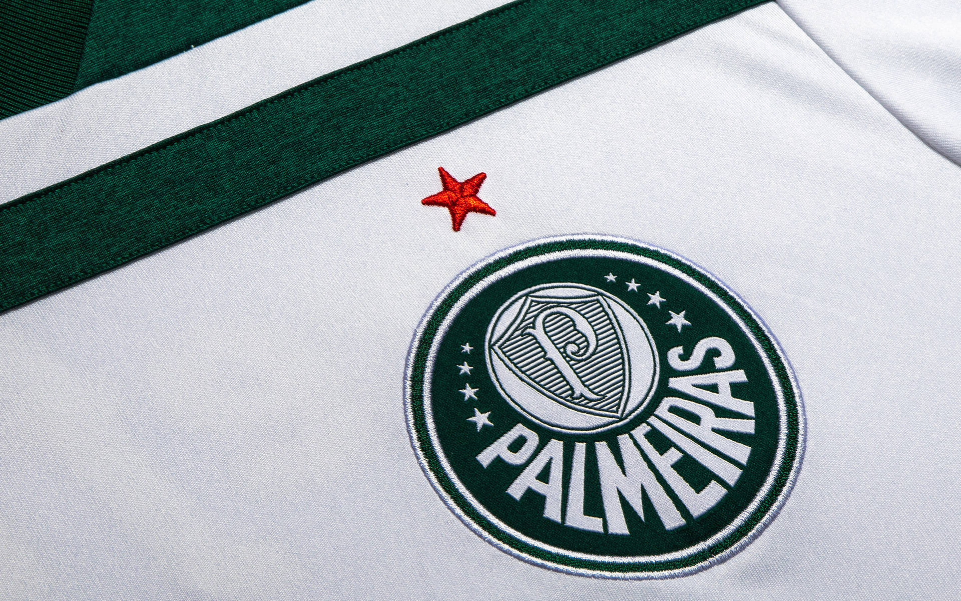 Palmeiras Stitched Cloth Background