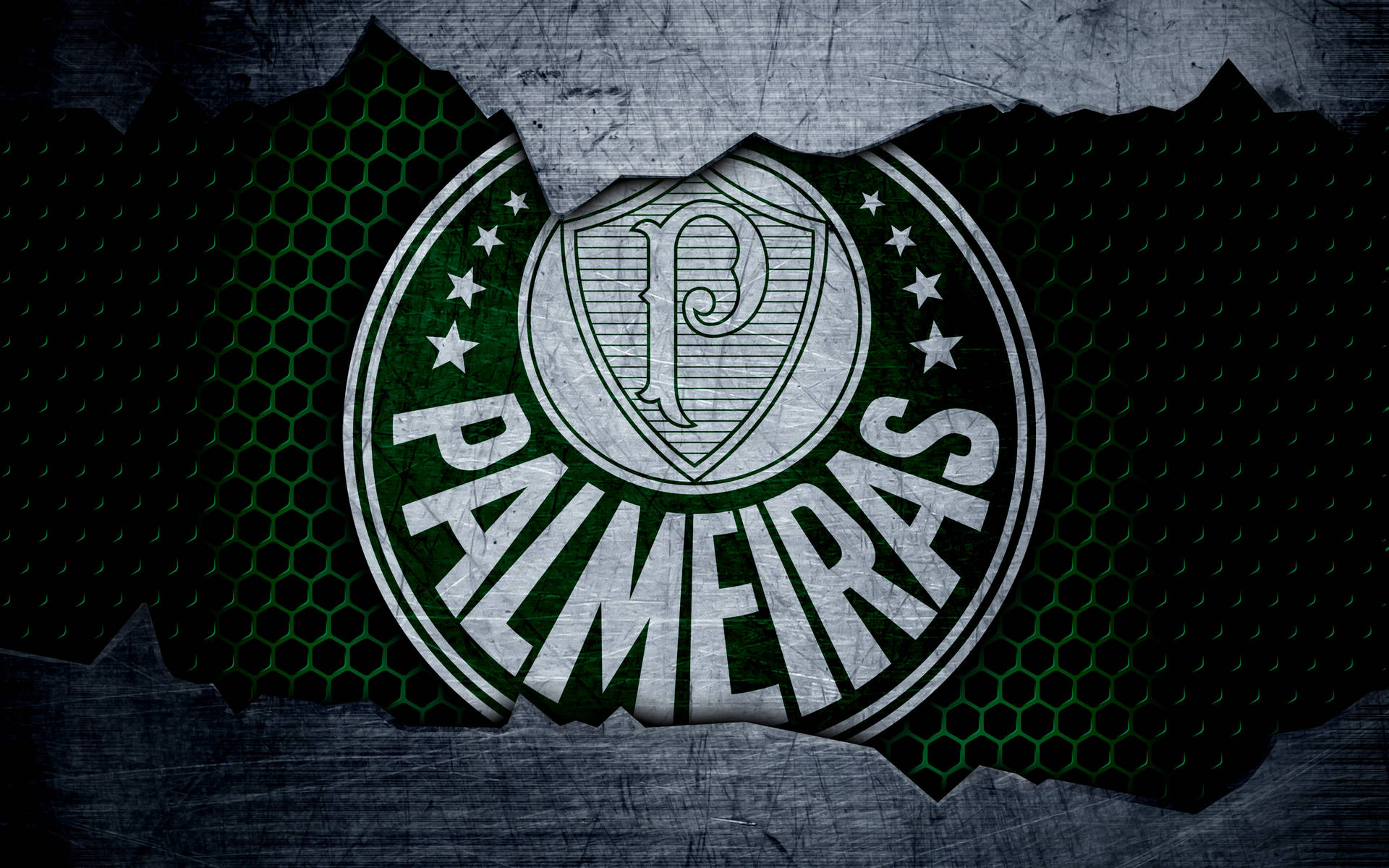 Palmeiras Torn Metal