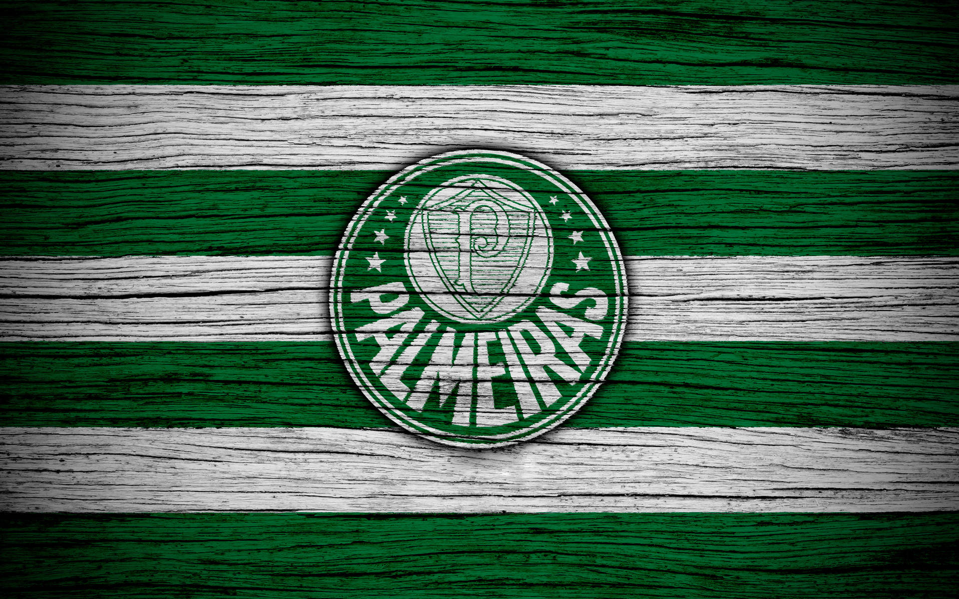 Palmeiras Wood Background