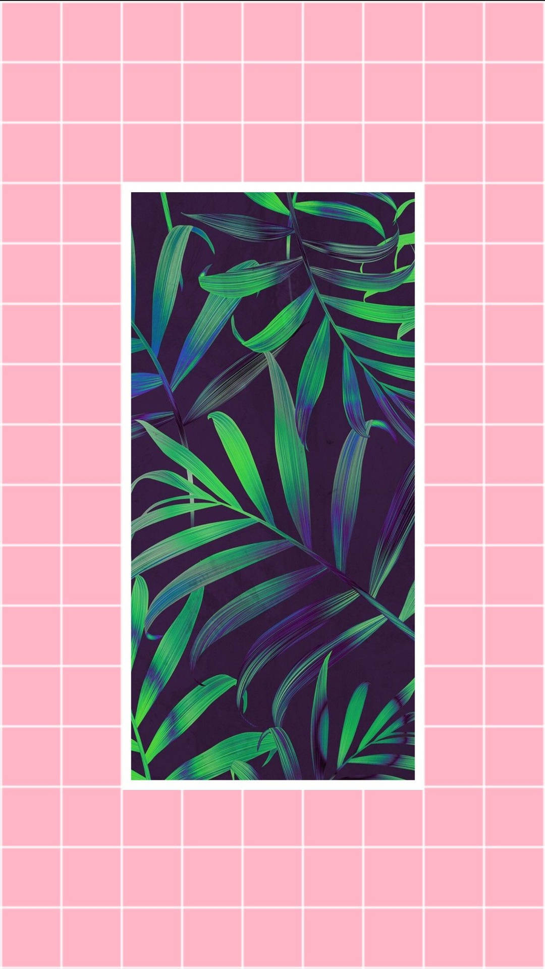 Palmera Leaves Pink Aesthetic Background