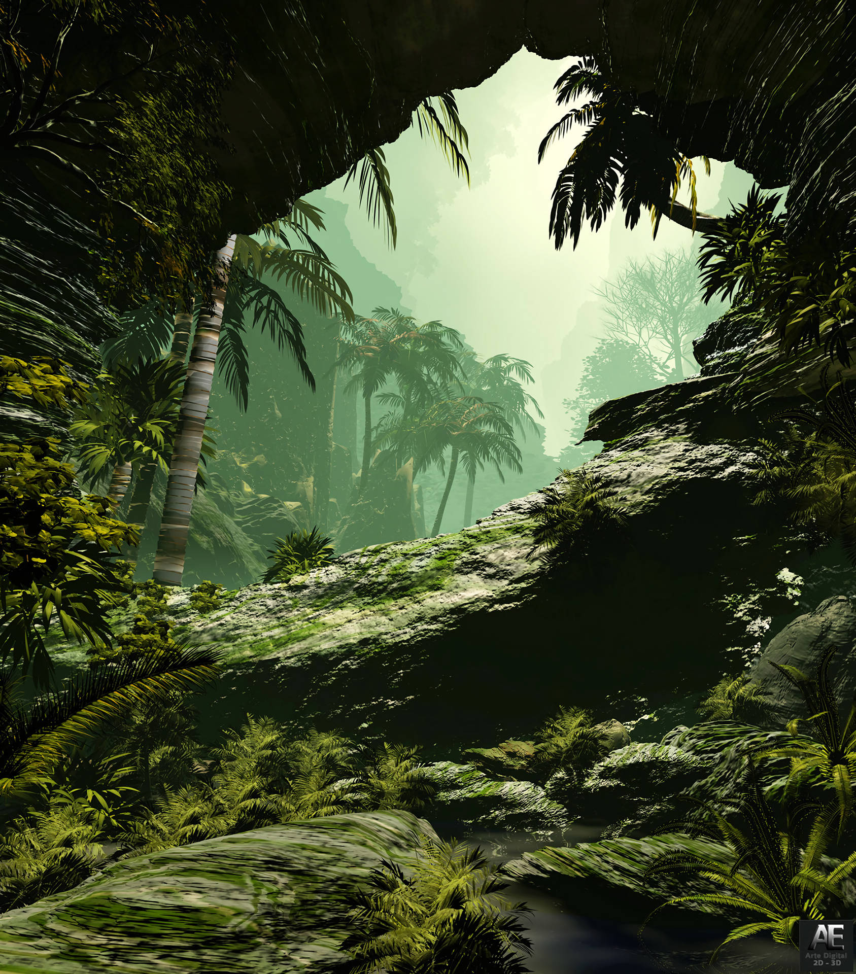 Palms Foggy Jungle Background