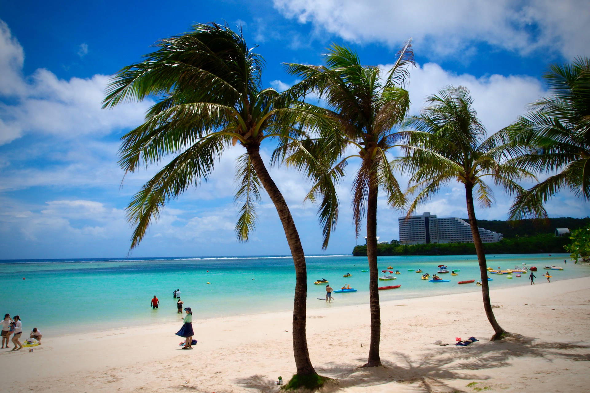 Palms On Beach In Guam
