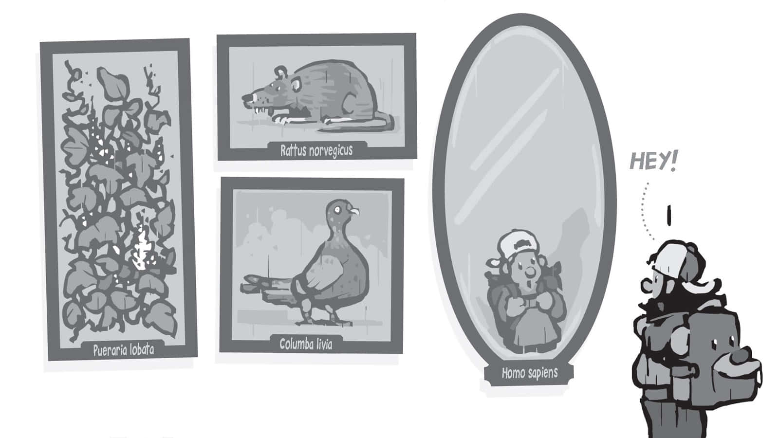 Palpable Homo Sapiens Reflection