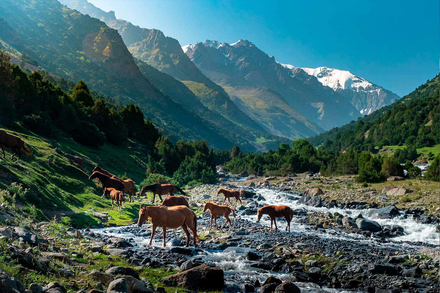 Pamir Alak Trek In Osh Kyrgyzstan