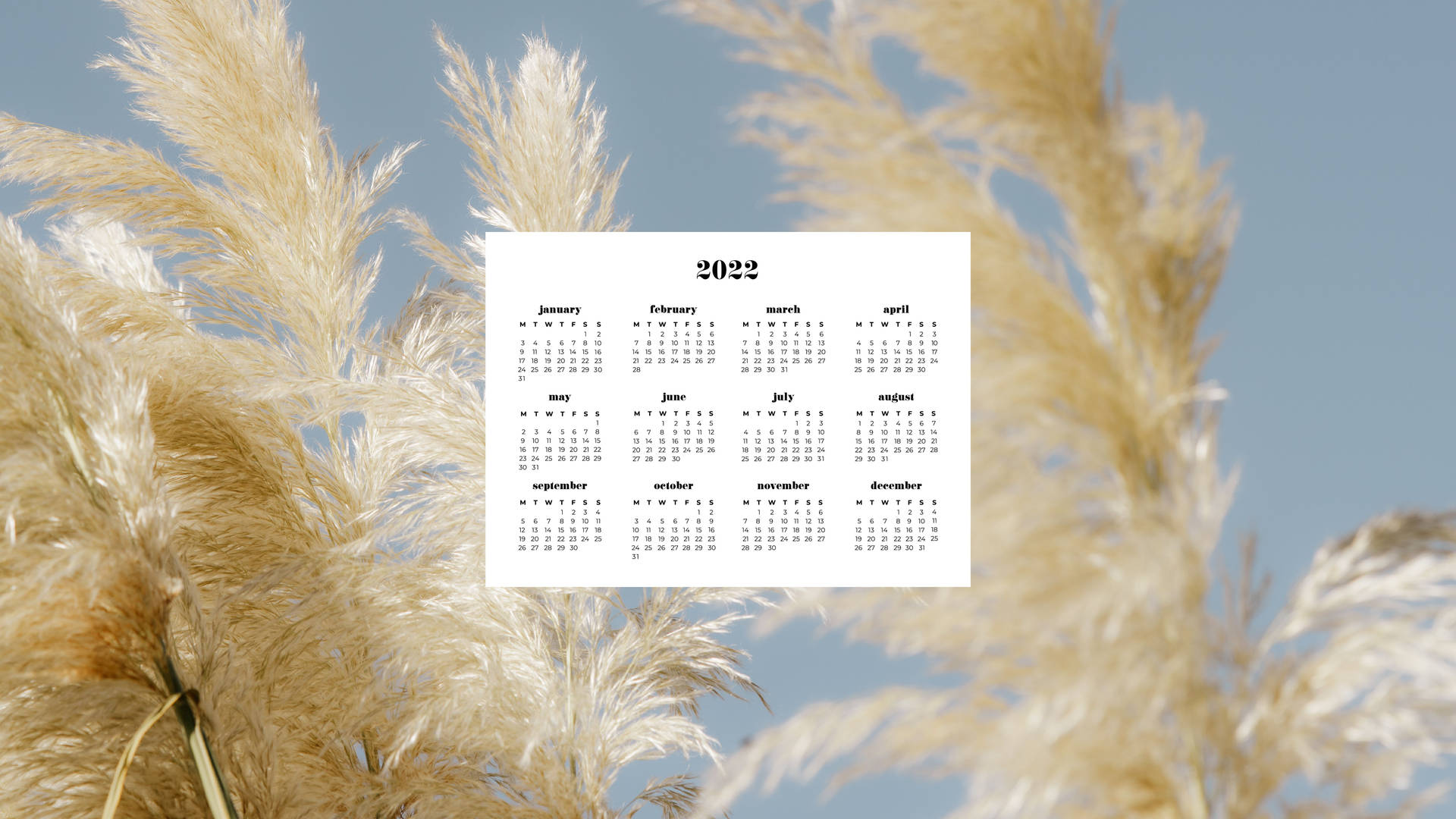 Pampas Grass 2022 Calendar Background