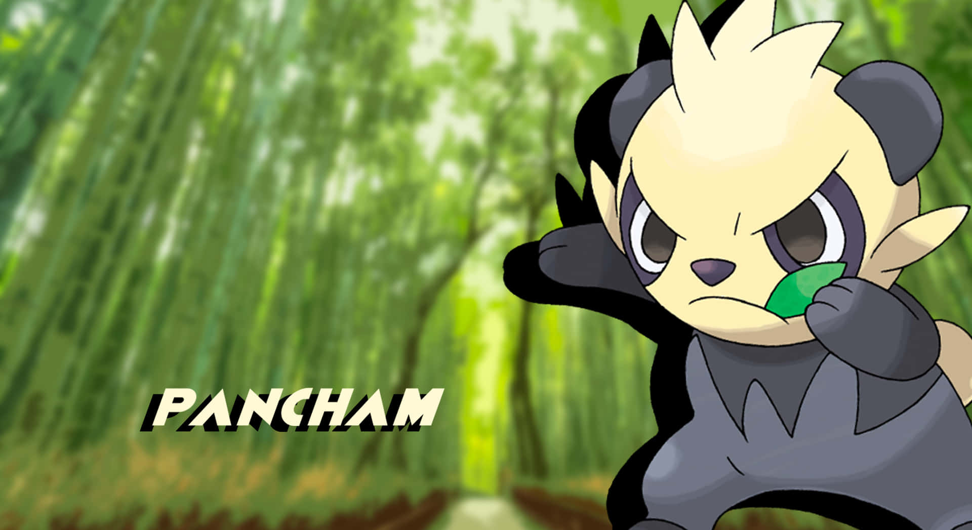 Pancham Blurred Bamboo Forest Background