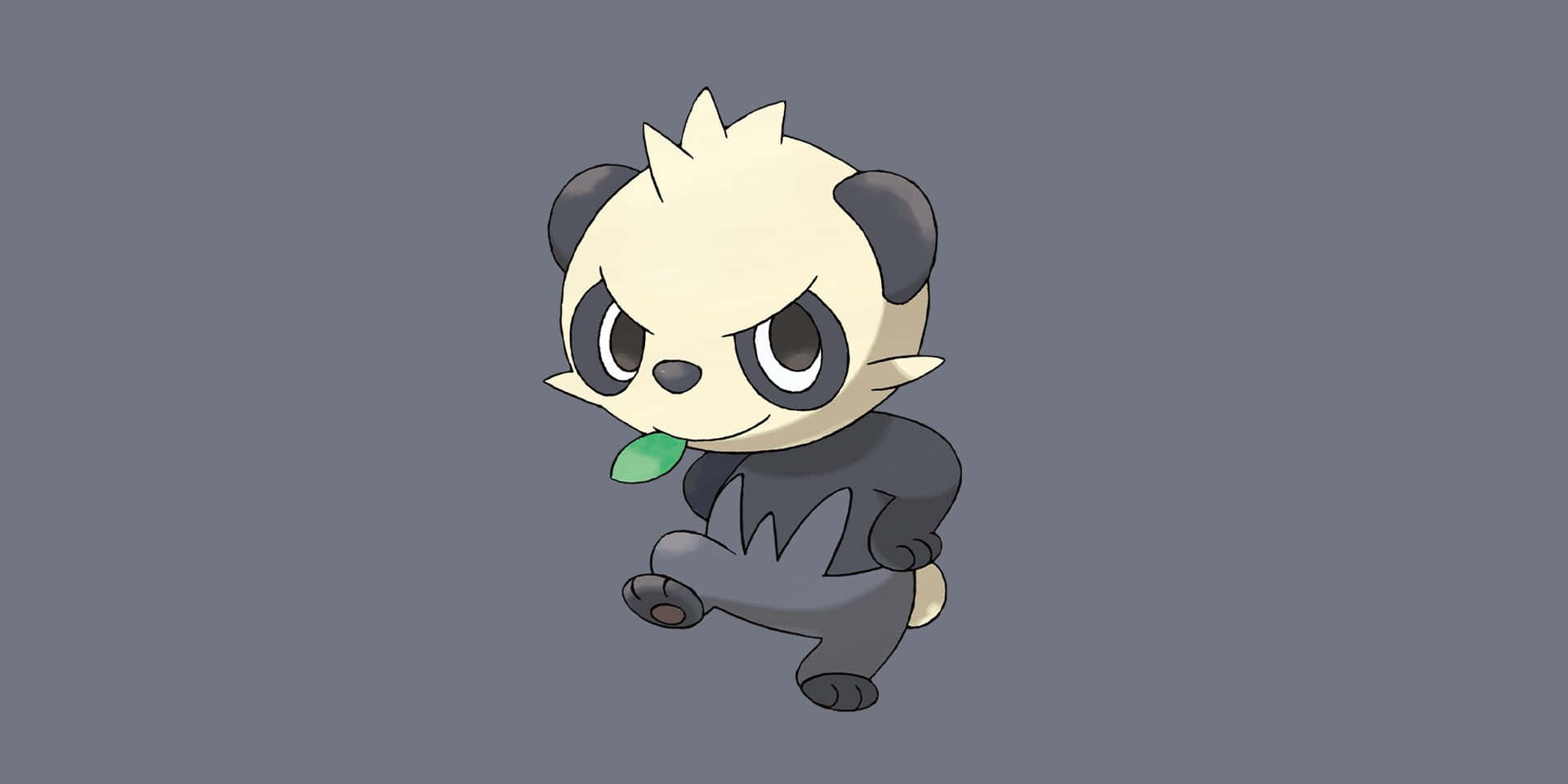 Pancham Gray Background