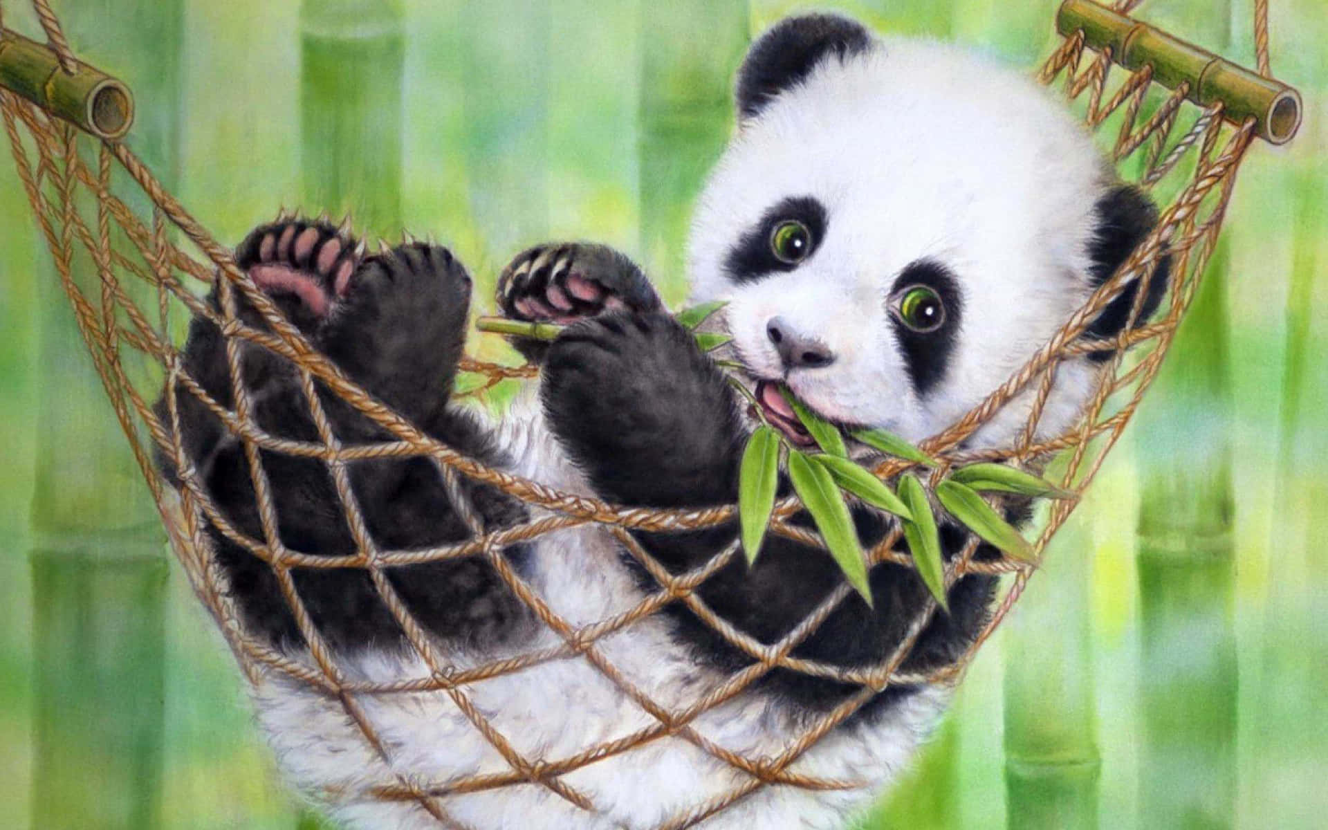 Panda Laptop On A Hammock Background
