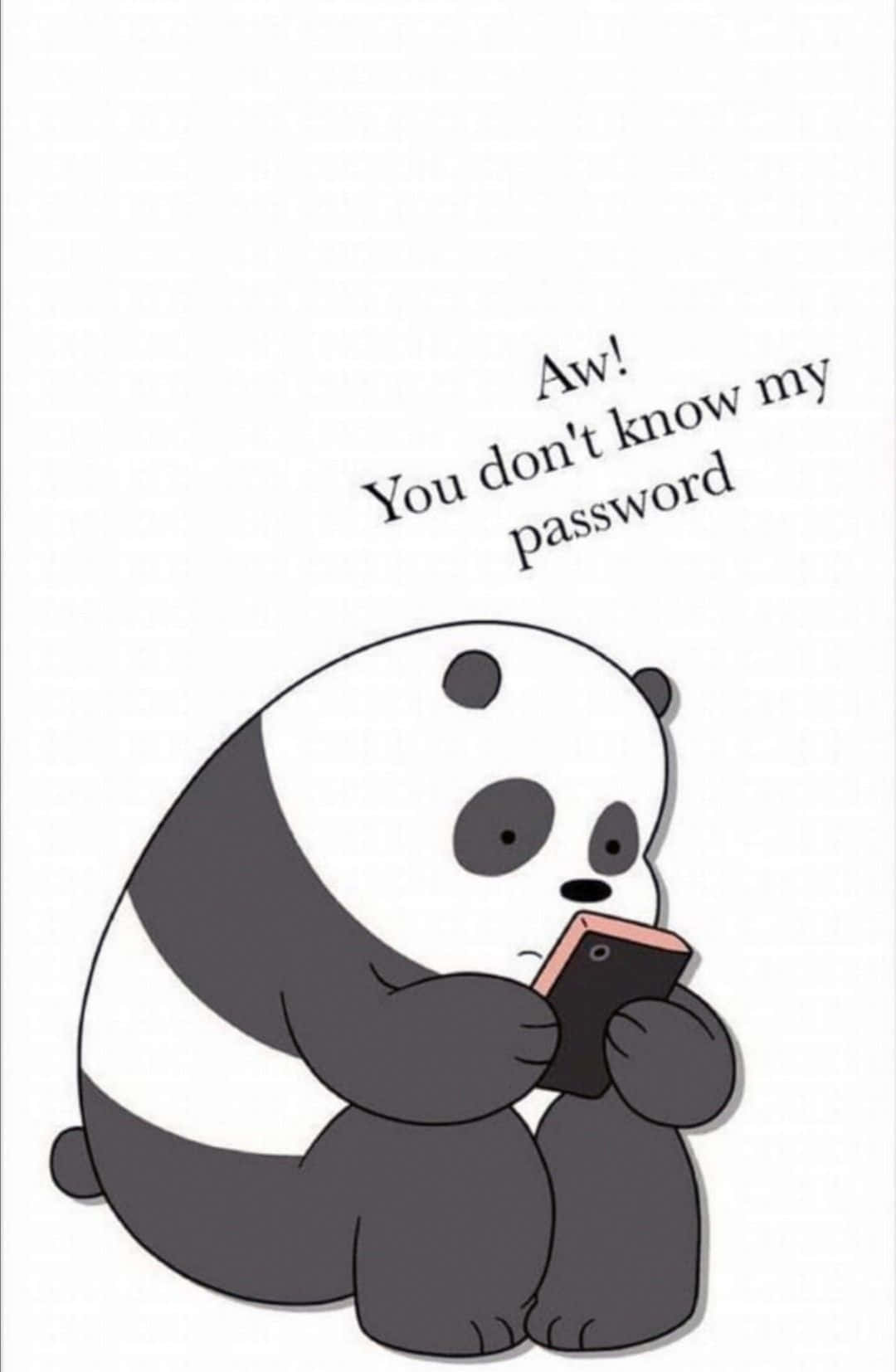 Panda Password Secret Cartoon Background