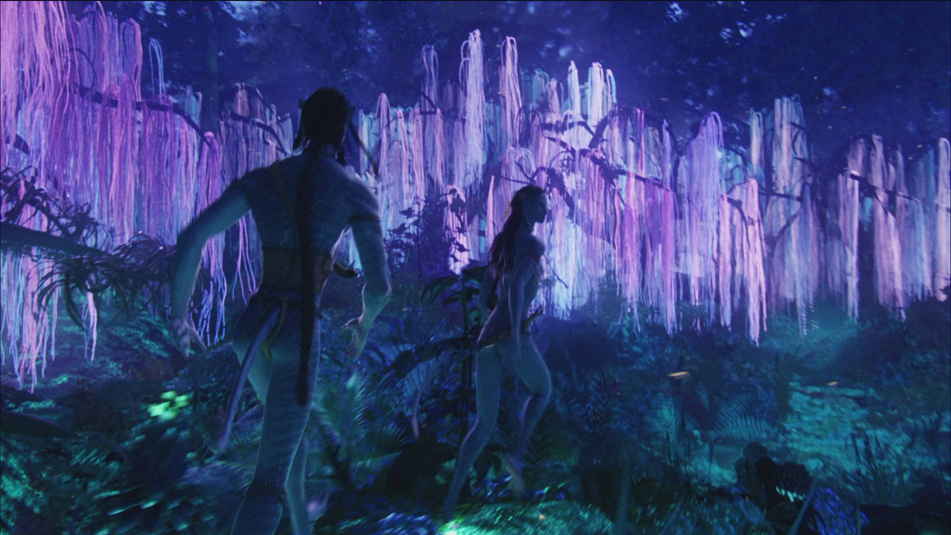 Pandora Forest Avatar Film Background
