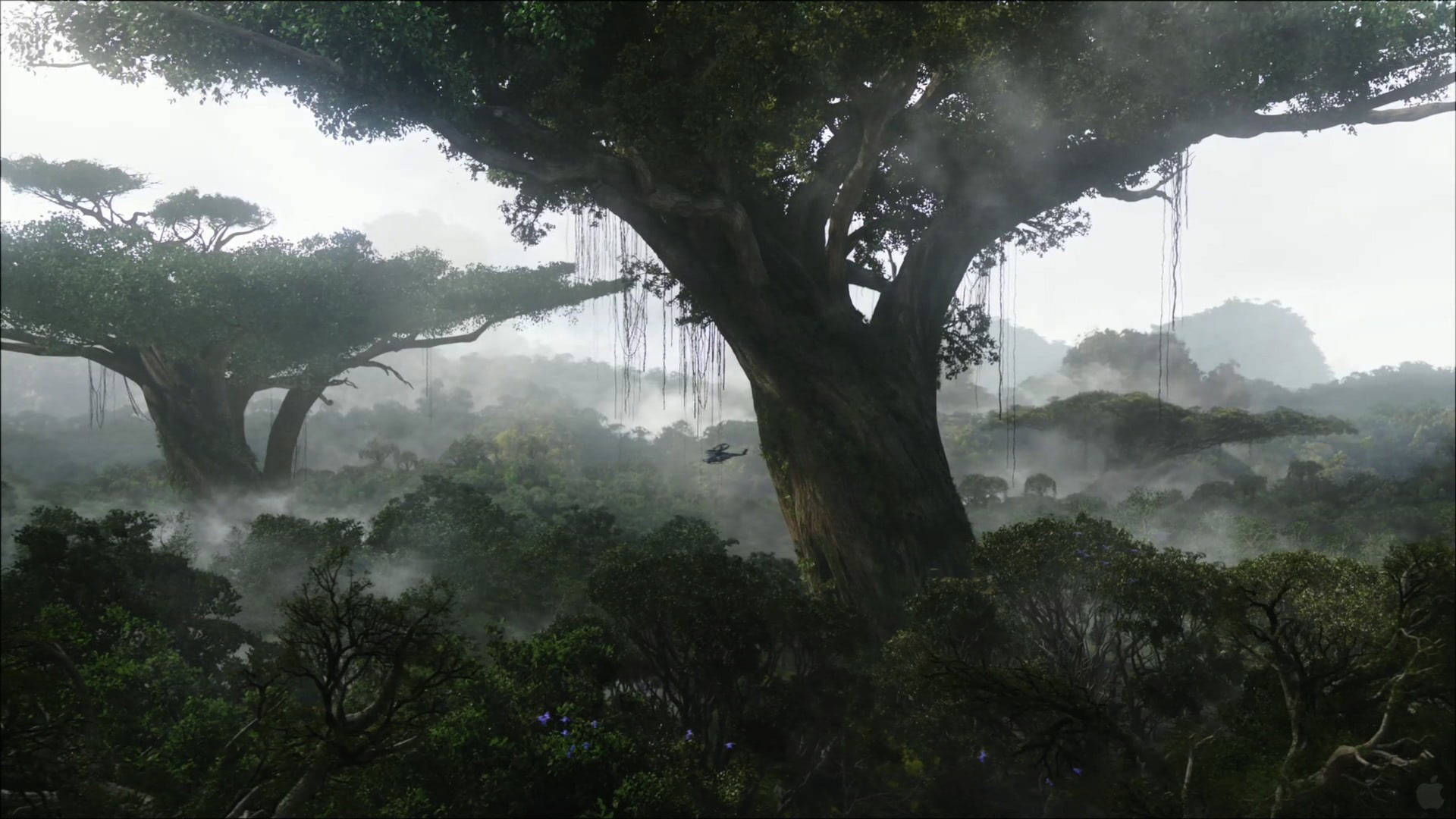 Pandora Misty Forest Background