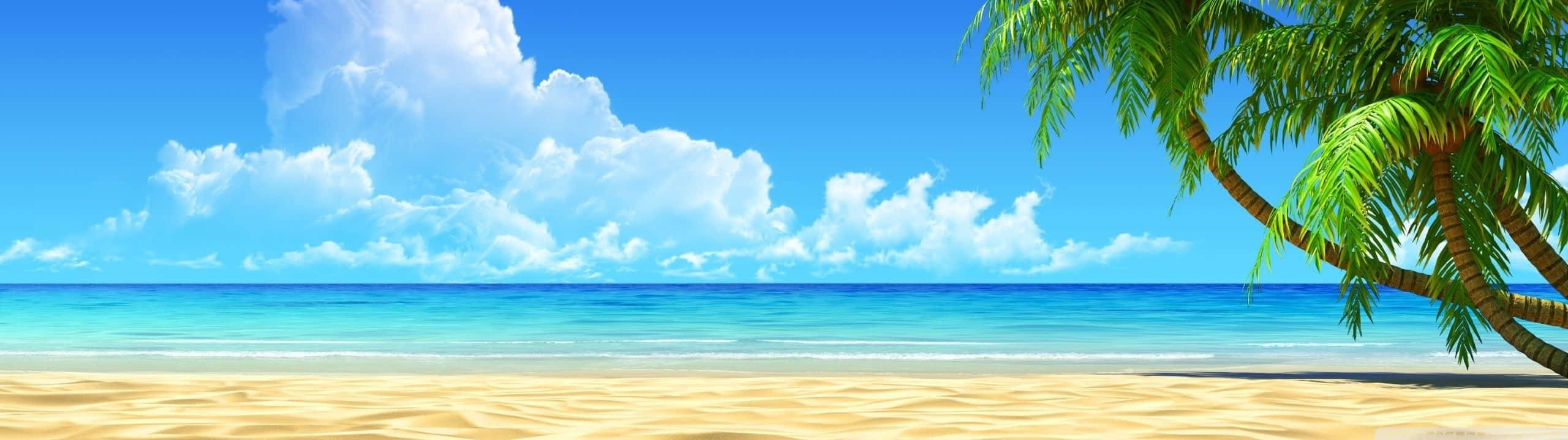 Panorama Beach Dual Monitor Background