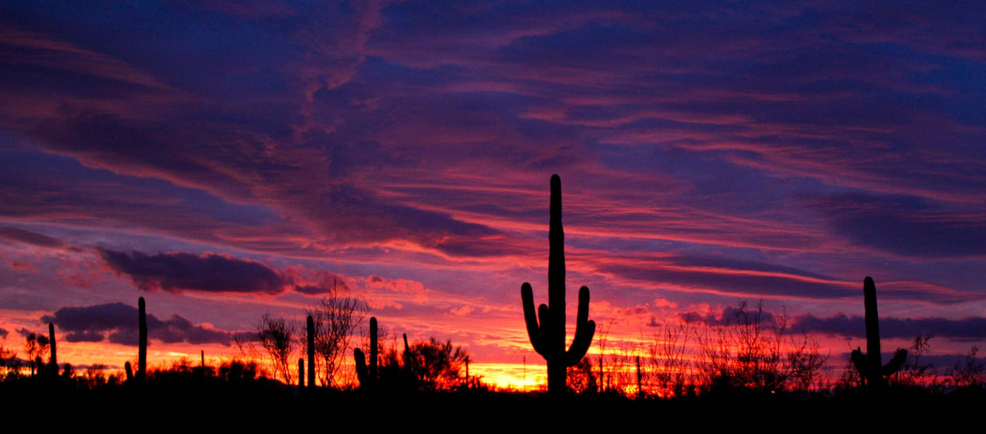 Panoramic Tucson Sunset Silhouette