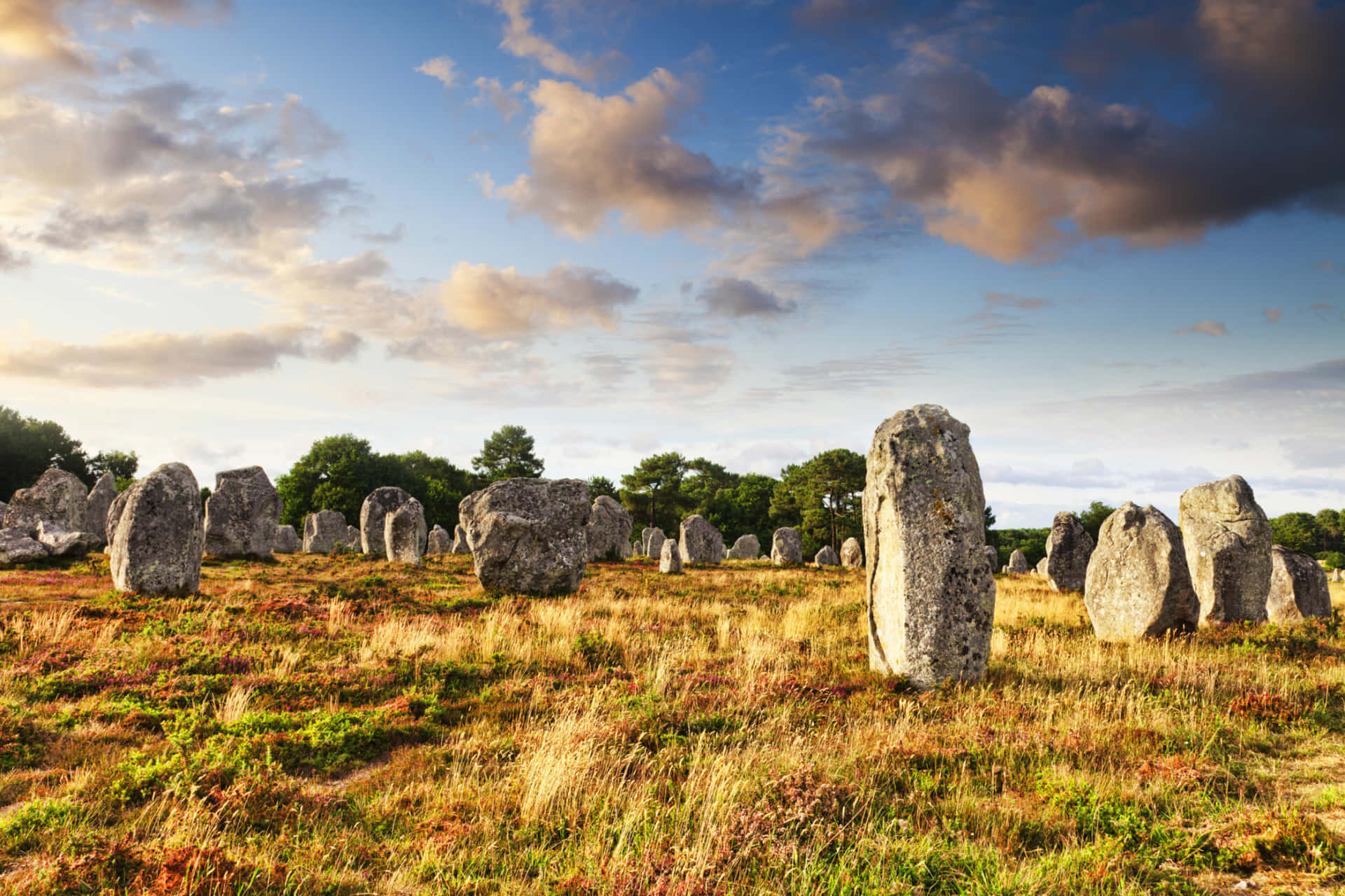 Panoramic View Of The Majestic Carnac Stones