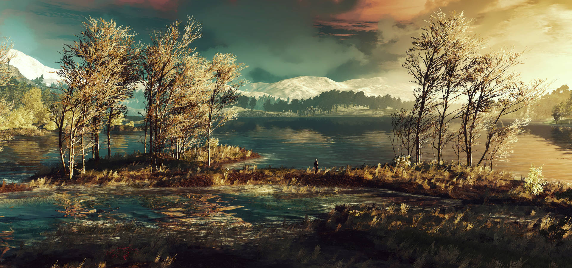 Panoramic View The Witcher 3 Background