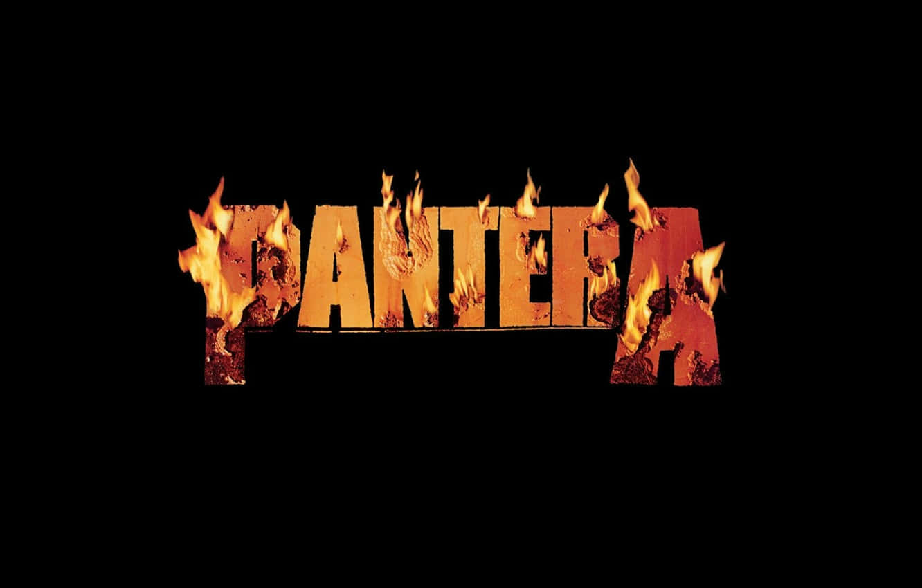 Pantera Performs At A Raucous Concert Background