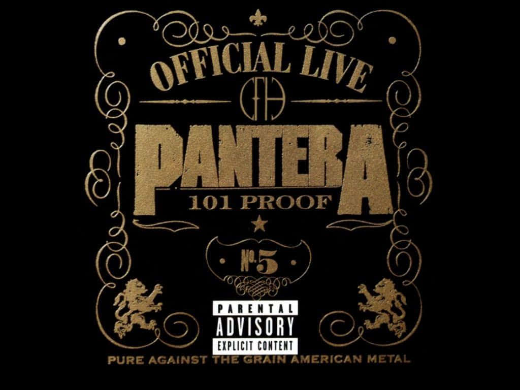 Pantera's Powerful Influence - An Iconic Heavy Metal Band. Background