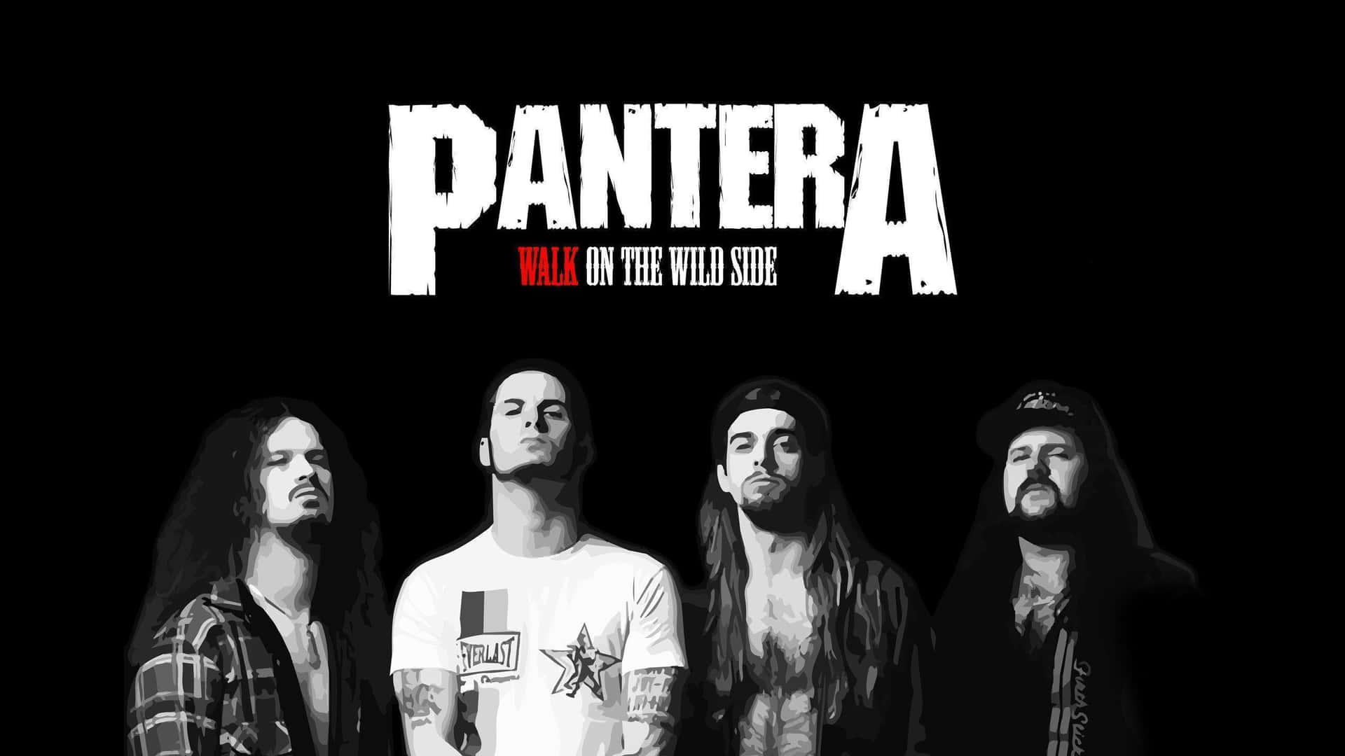 Pantera - Talk In The Dark Background