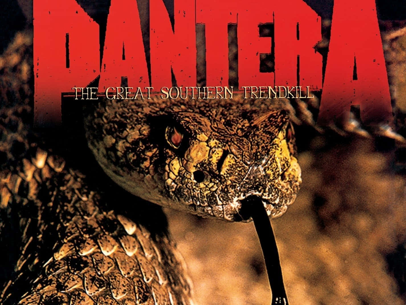 Pantera The Great Southern King Snake Background
