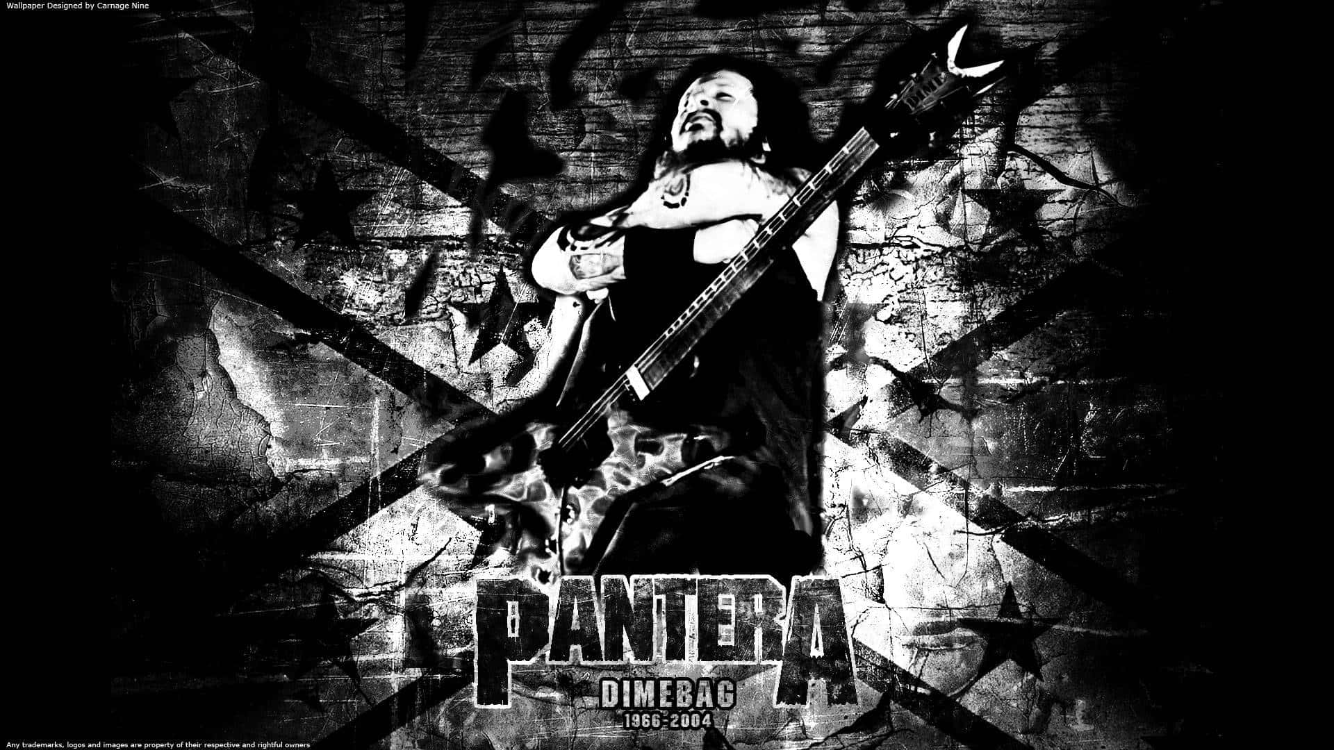 Pantera The Wolf Wallpapers Background