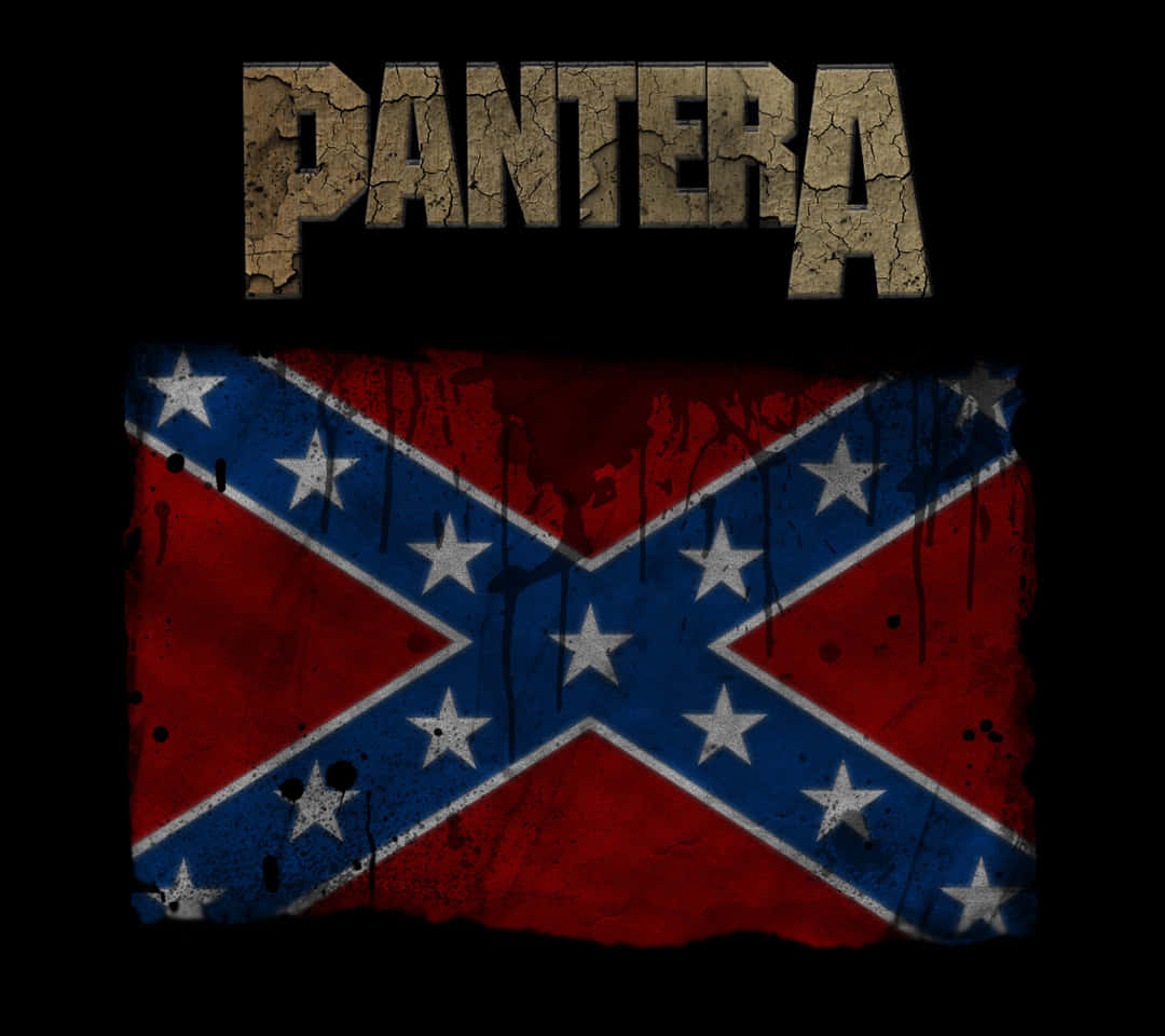 Pantera - Wallpaper - Hd Background